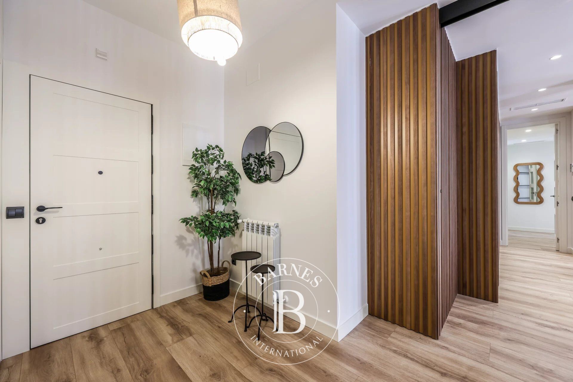 Daire Madrid - picture 13