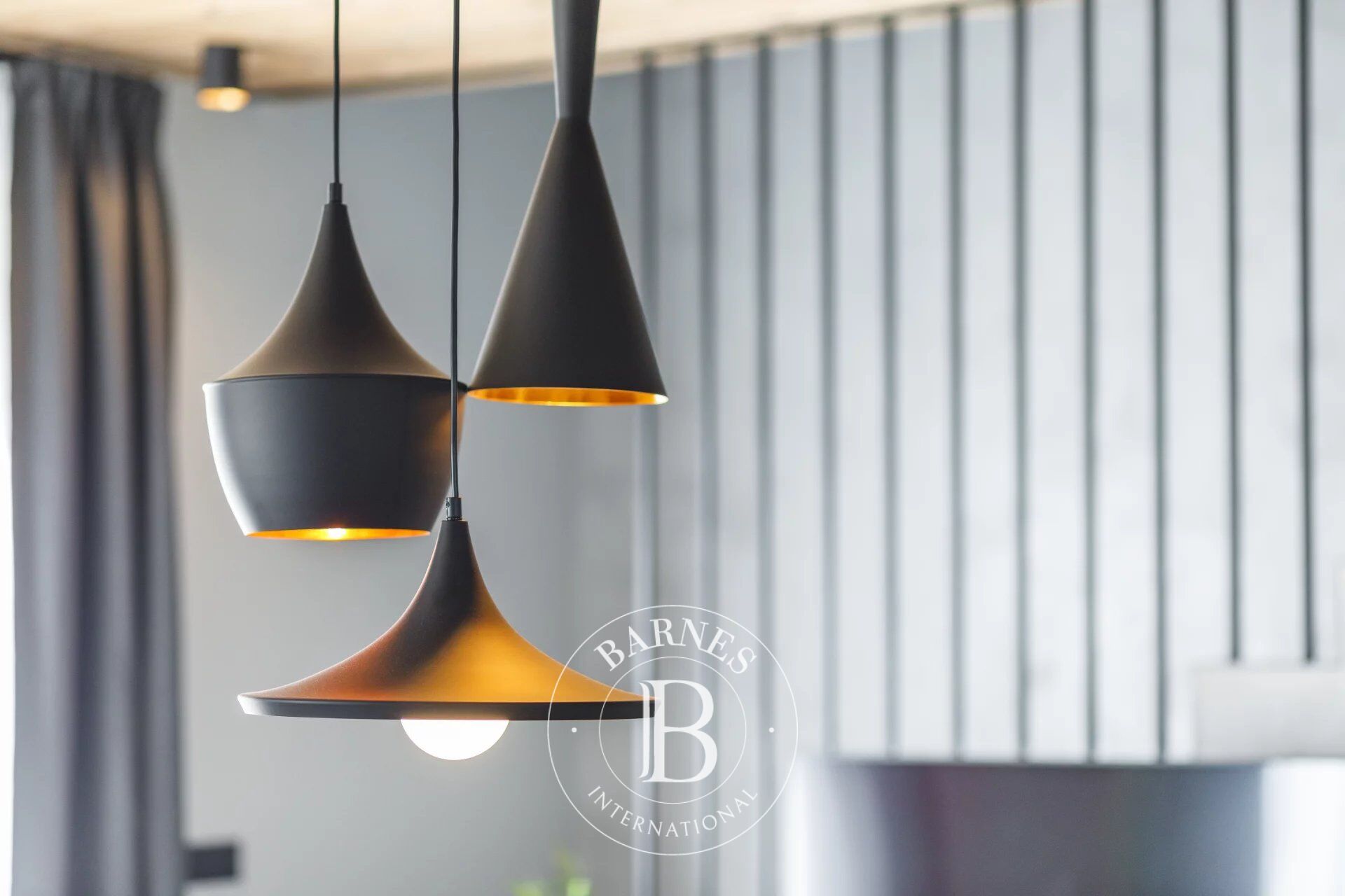 Ev Sofia - picture 23