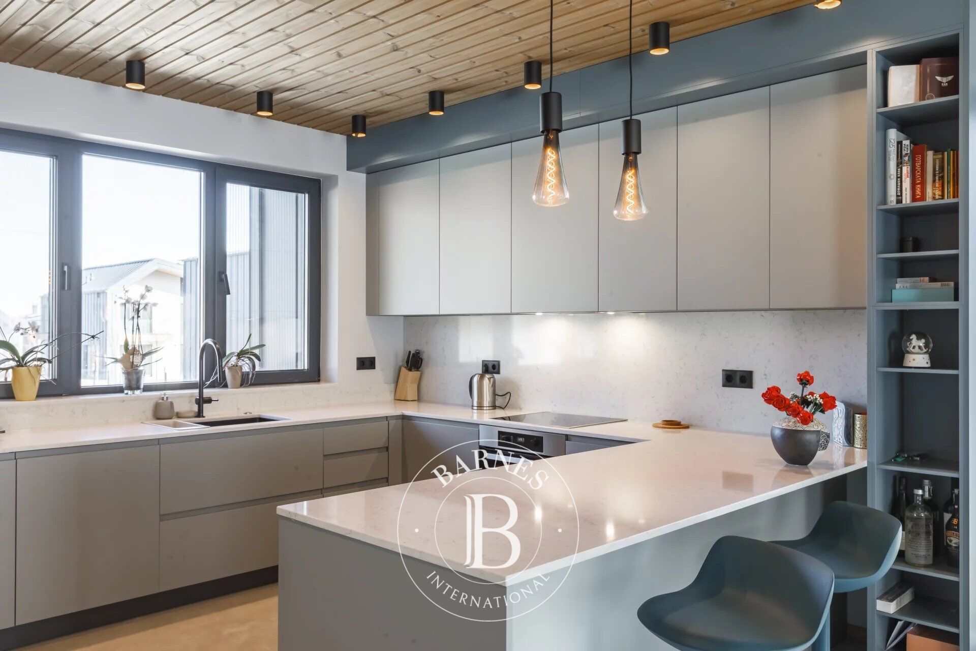 Ev Sofia - picture 5