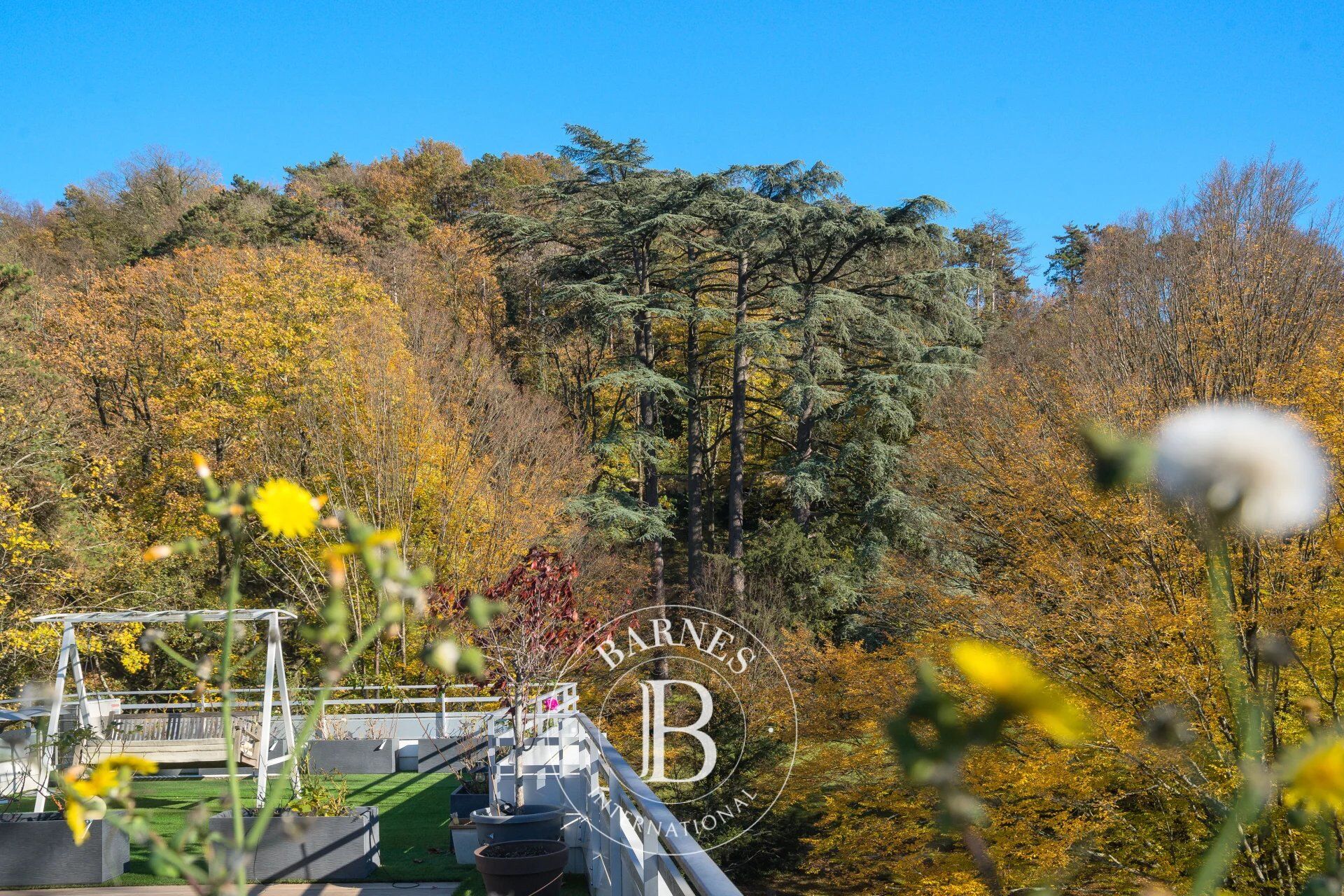 Caluire-et-Cuire - Quays of the Saône - House with 274 m² of roof space - Terrace of approximately 300 m² - 10 parking spaces - 4 bedrooms - picture 2