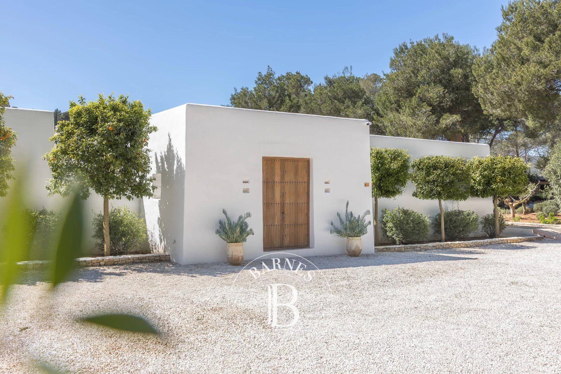 Villa Angelica - picture 2