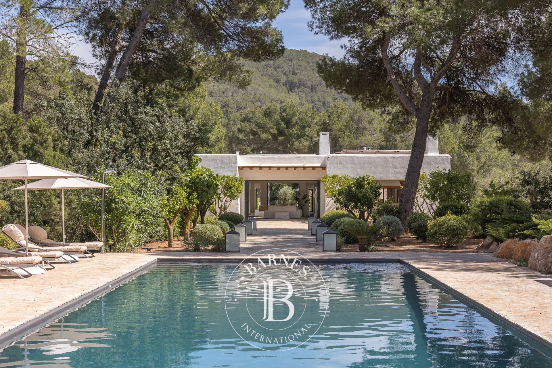 Villa Angelica - picture 1