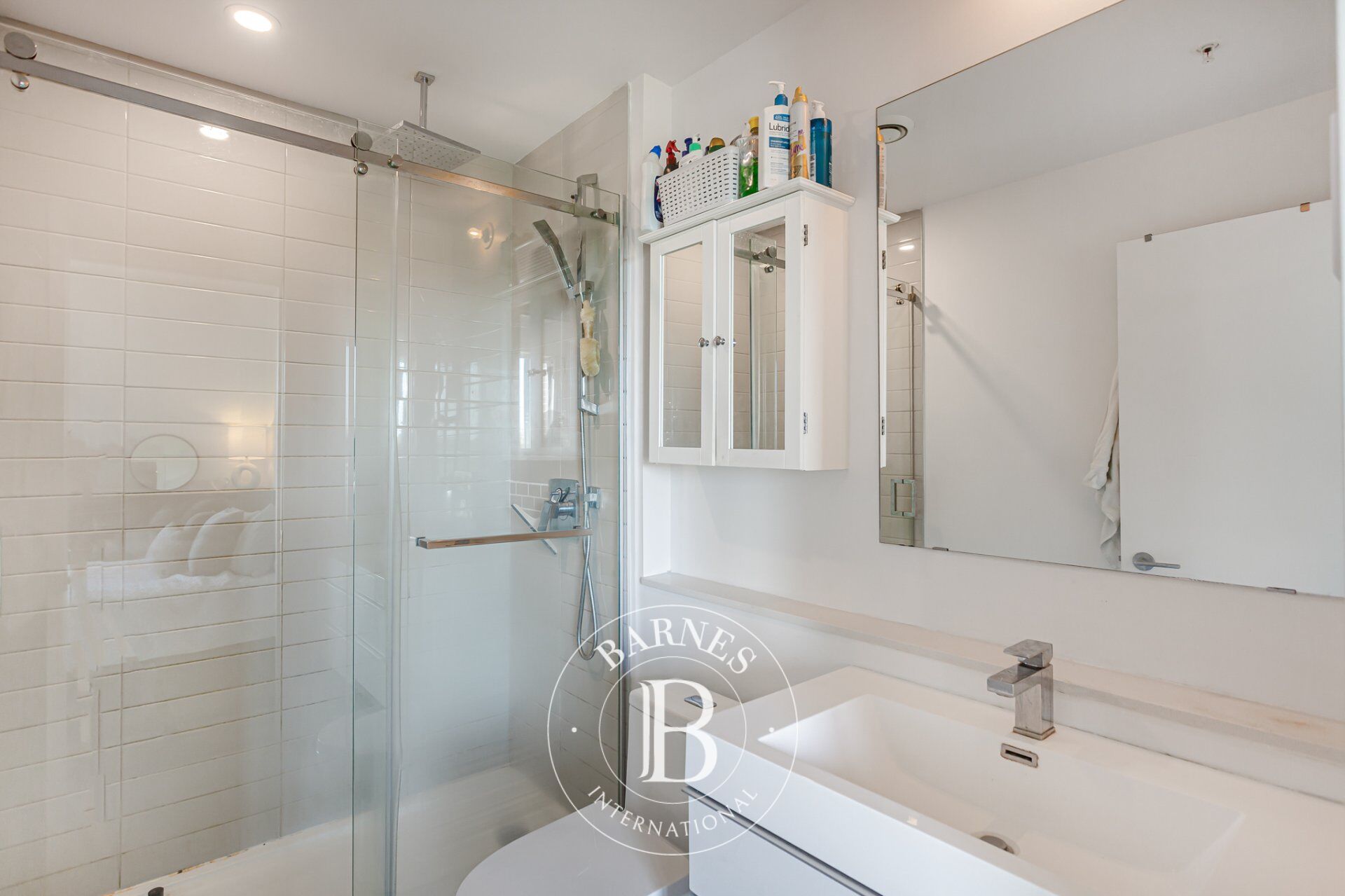 Daire Pointe-Claire - picture 12