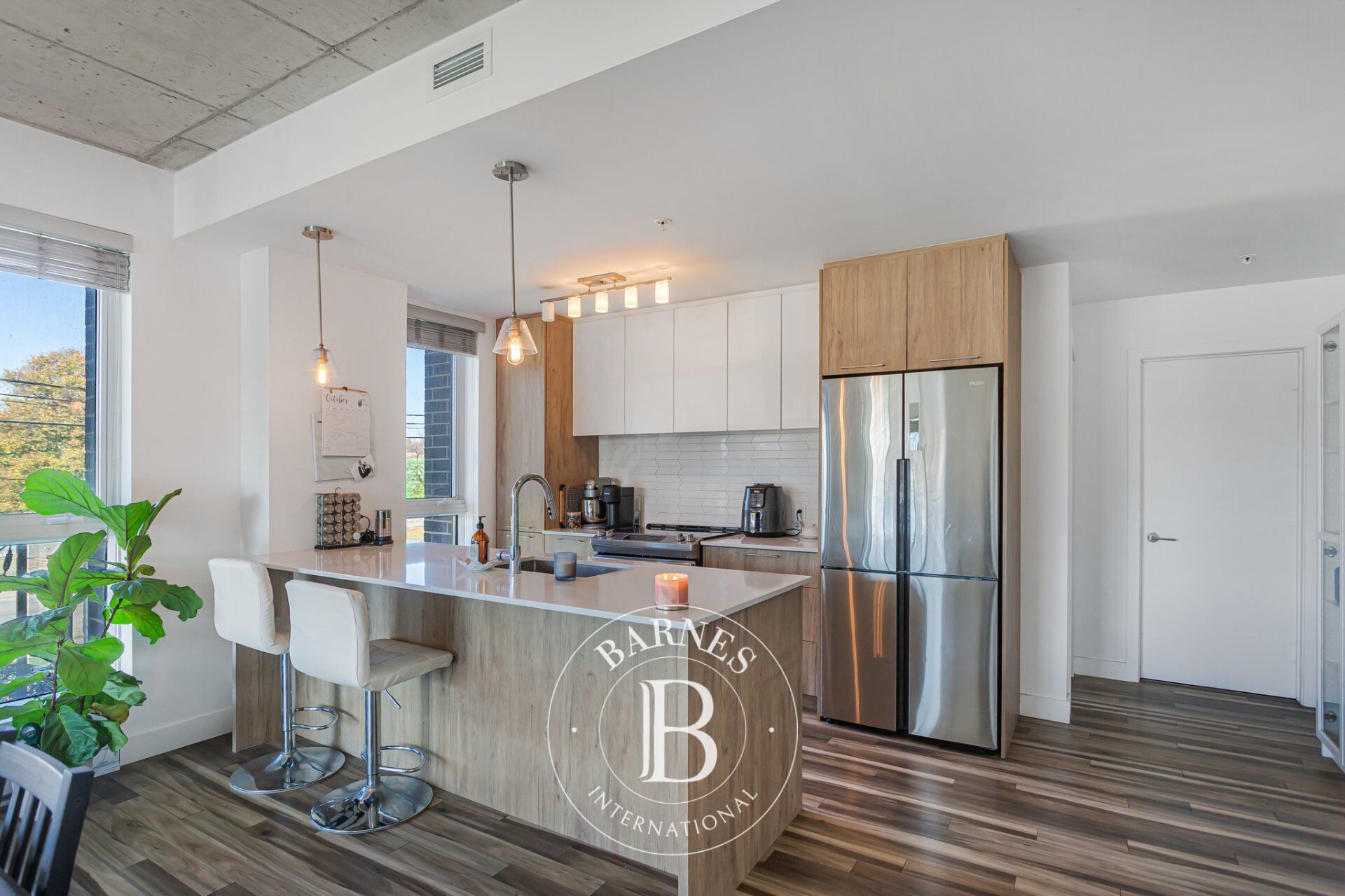 6 Av. Donegani #201  Pointe-Claire (Montréal) - picture 1