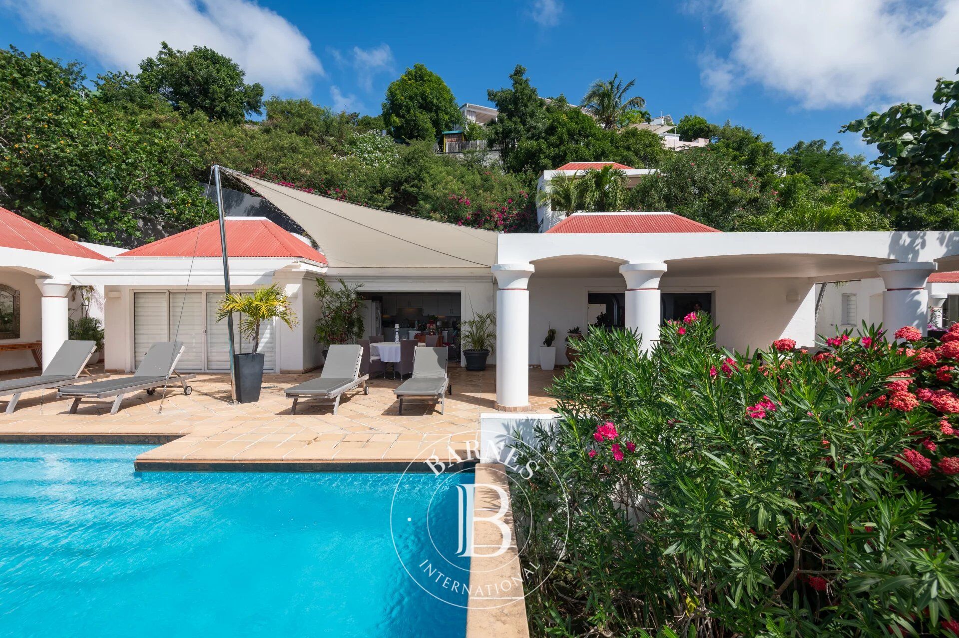 For Sale, Villa Saint-Barthélemy - picture 5