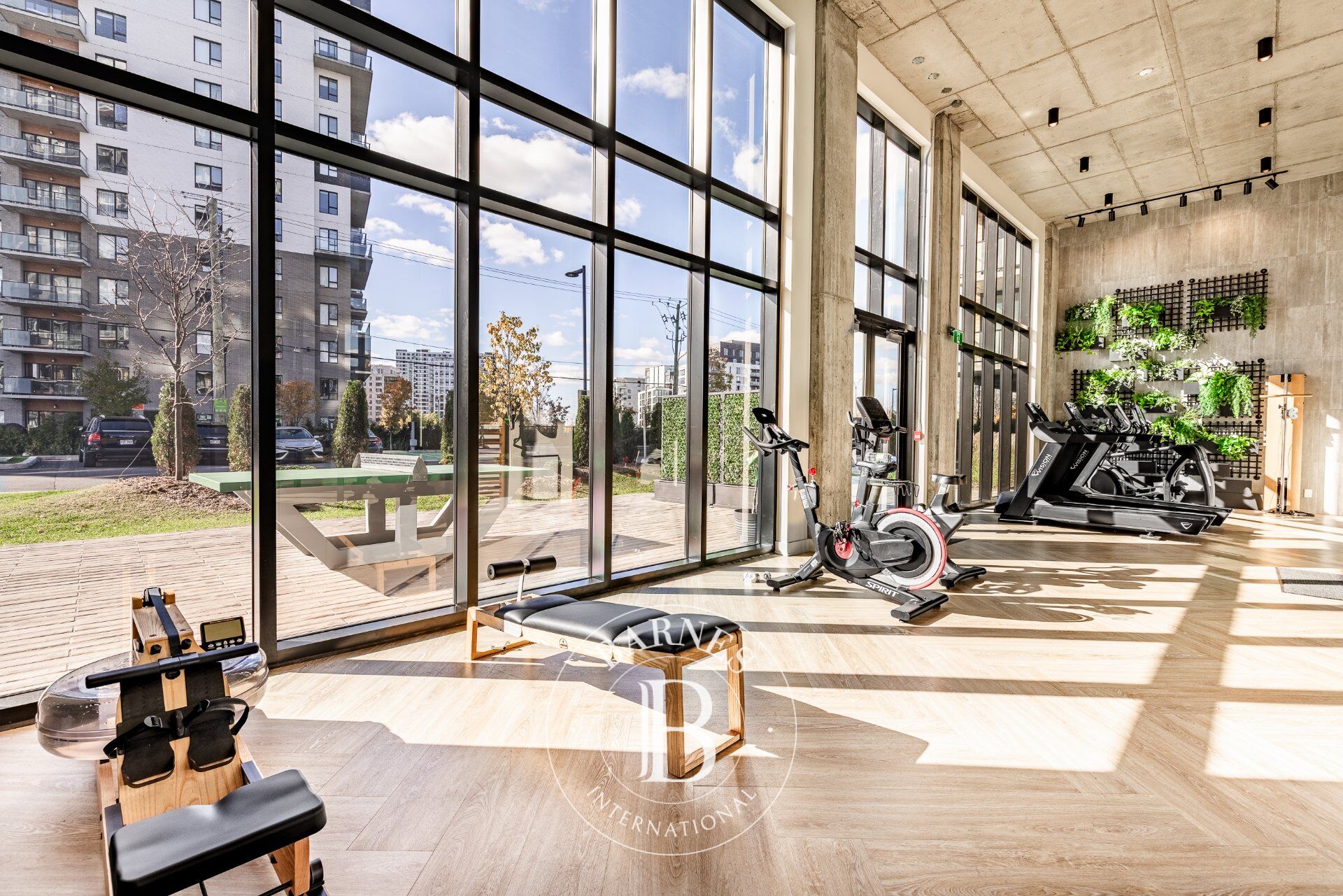 Daire Laval (Chomedey) - picture 14