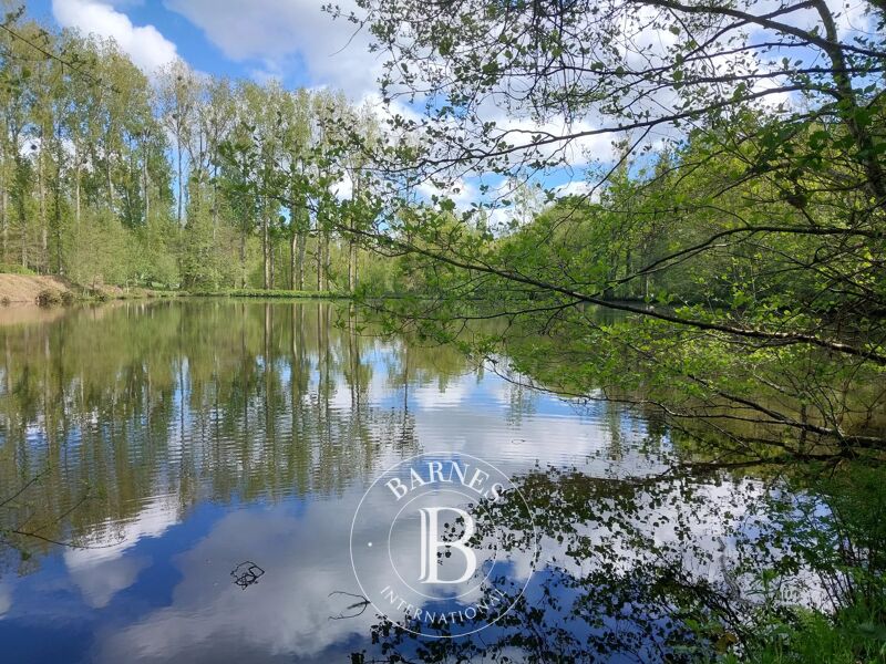 For Sale Property | Mortagne-au-Perche - picture 2