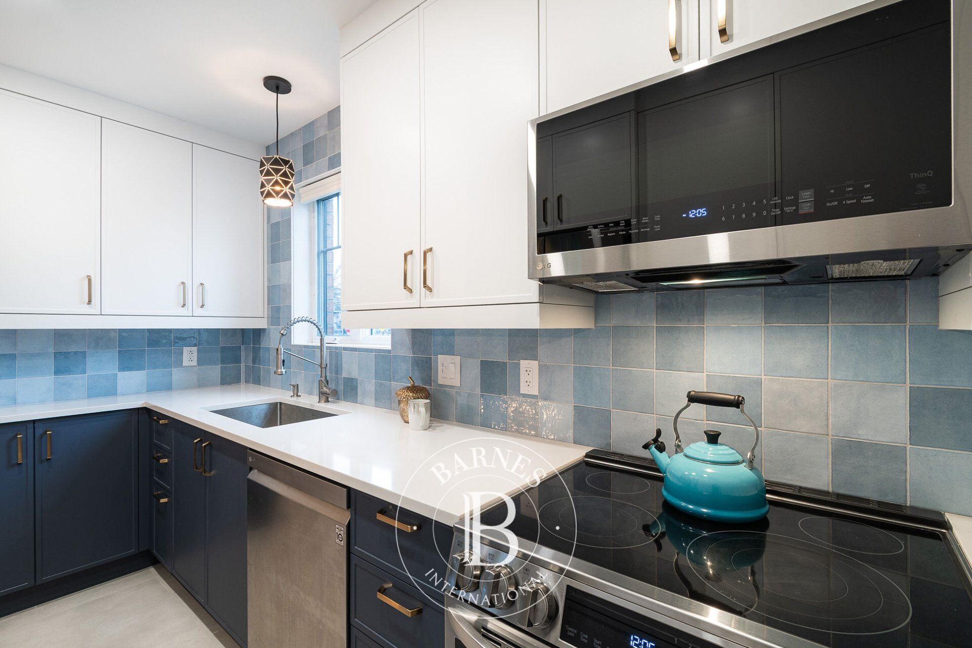 Ev Montréal (Le Sud-Ouest) - picture 16