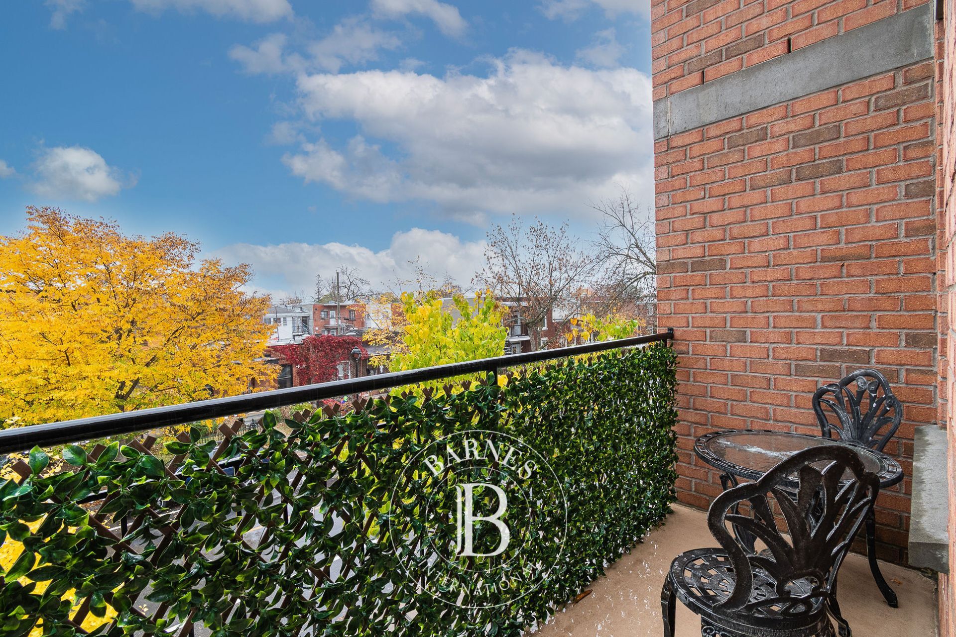 Ev Montréal (Le Sud-Ouest) - picture 30