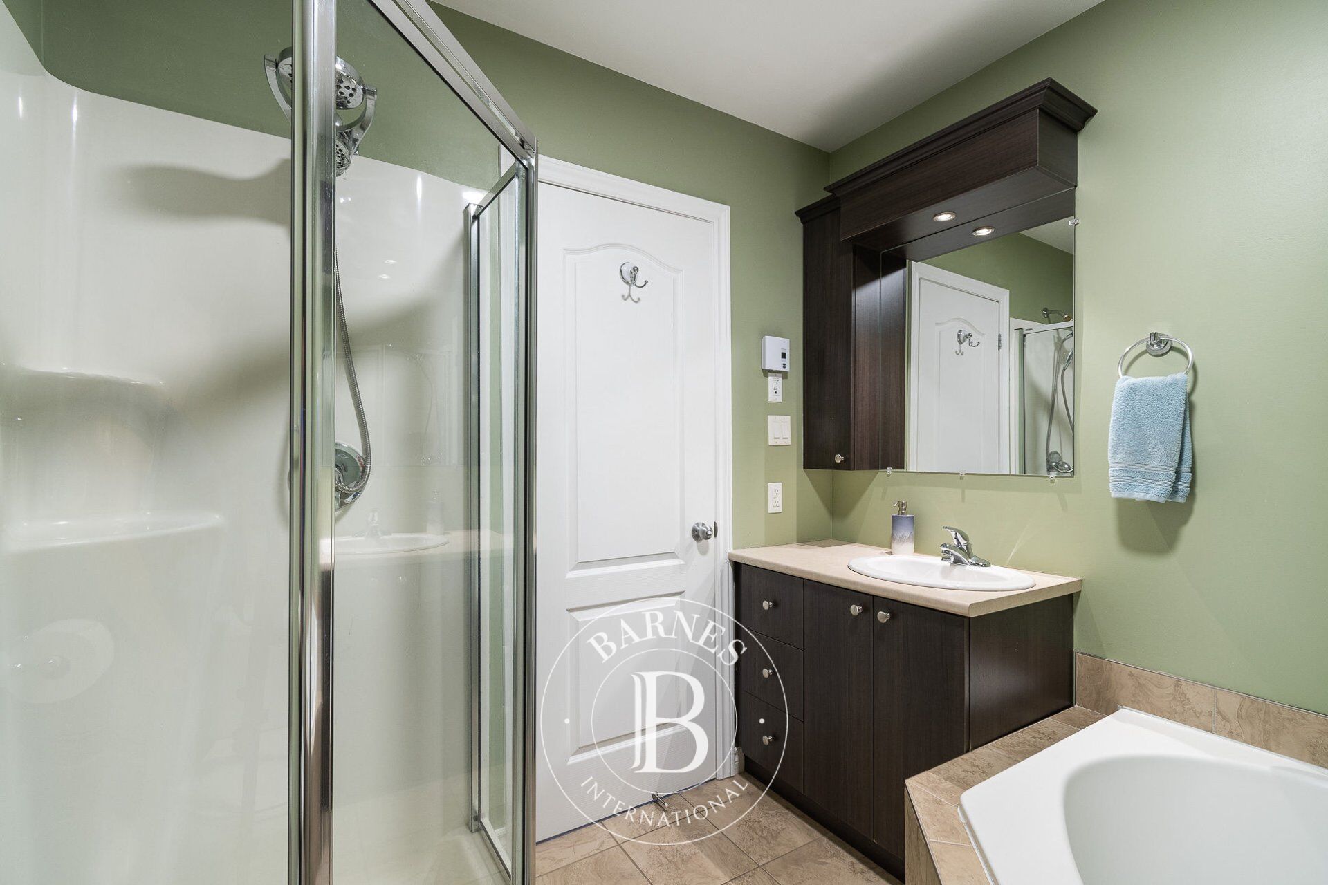 Ev Montréal (Le Sud-Ouest) - picture 28