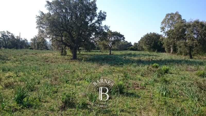 À vendre, Terrain constructible Porto-Vecchio