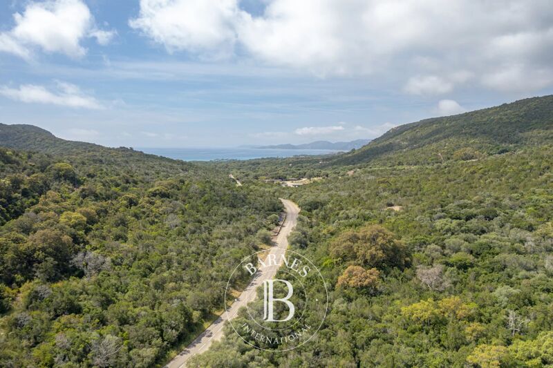 Venta Terreno urbanizable | Porto-Vecchio - picture 1