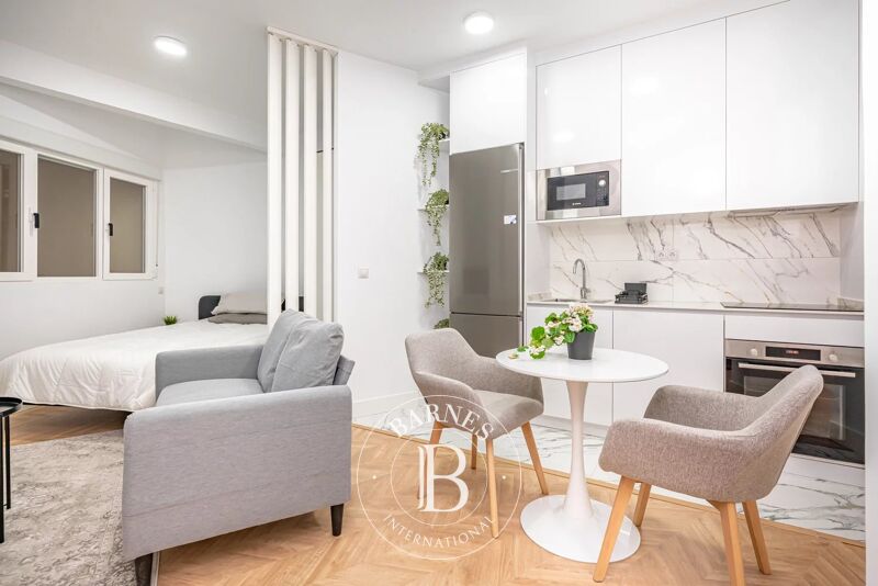 Luxury renovated studio next to IE University