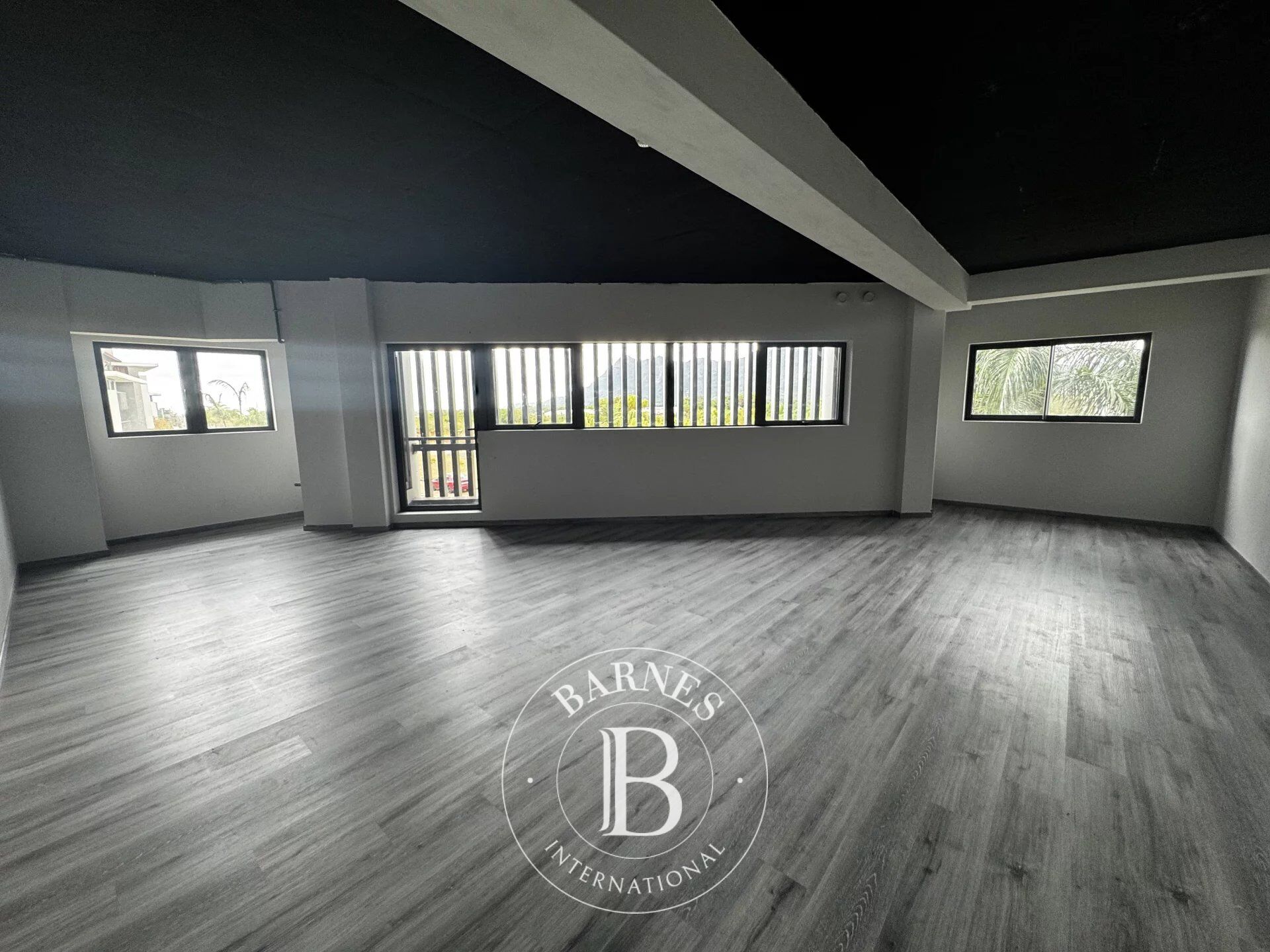 Ufficio Moka - picture 2