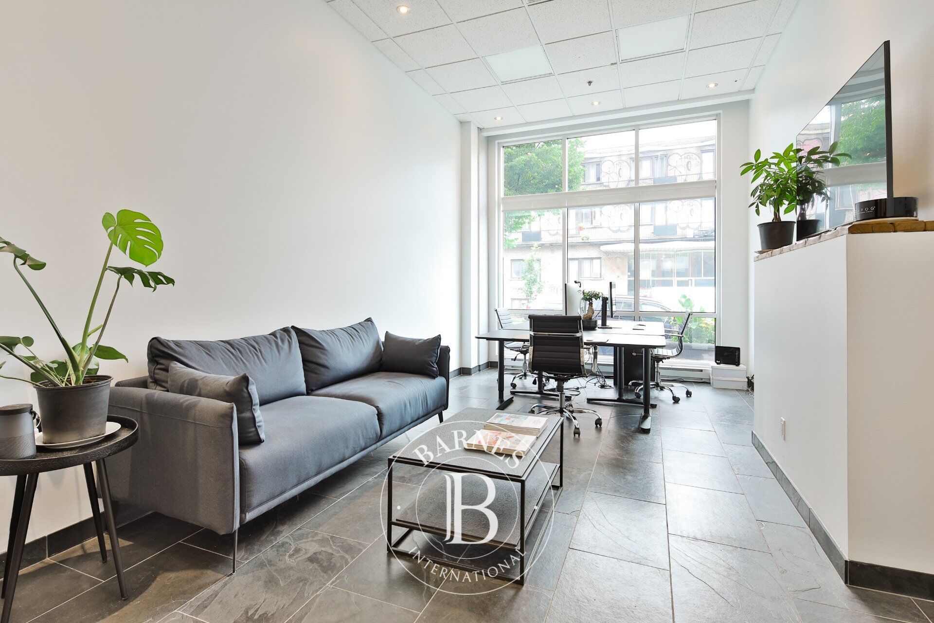 Piso Montréal (Rosemont/La Petite-Patrie) - picture 2