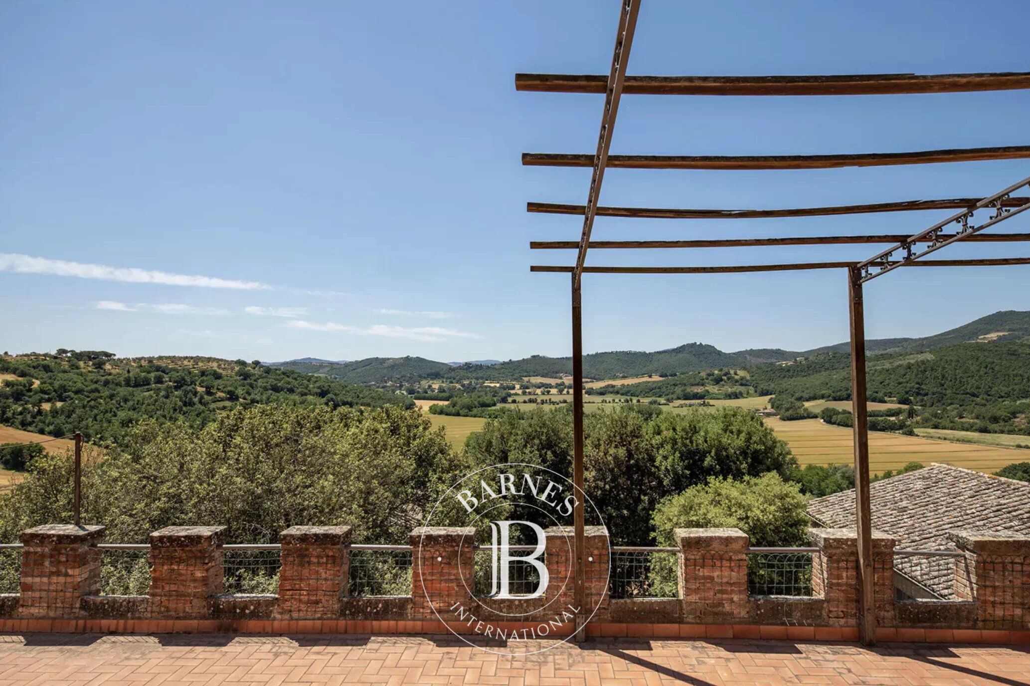 Saray Marsciano - picture 16