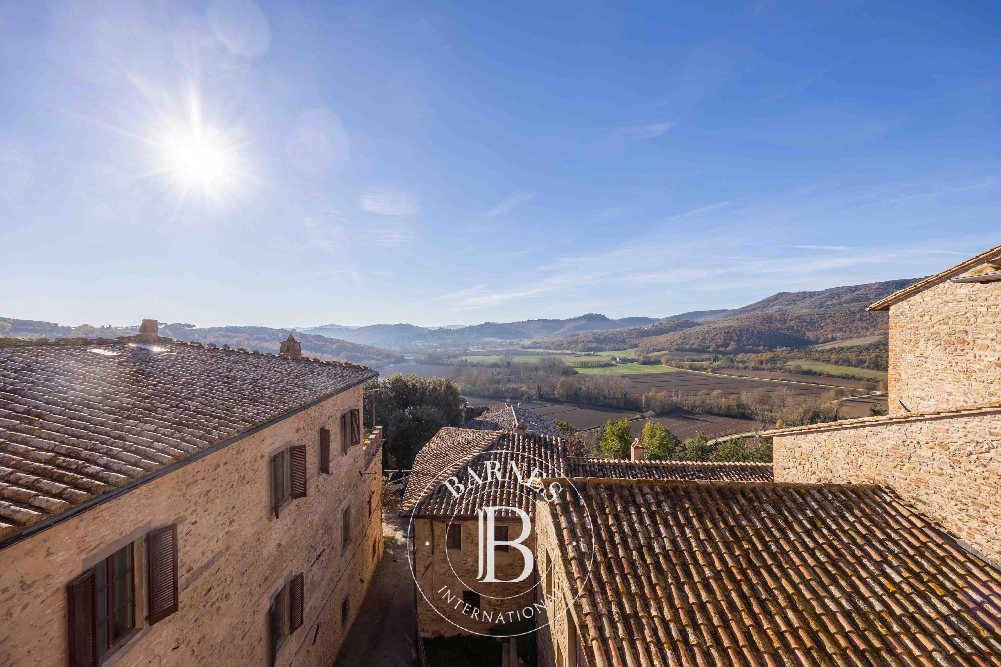 Saray Marsciano - picture 30