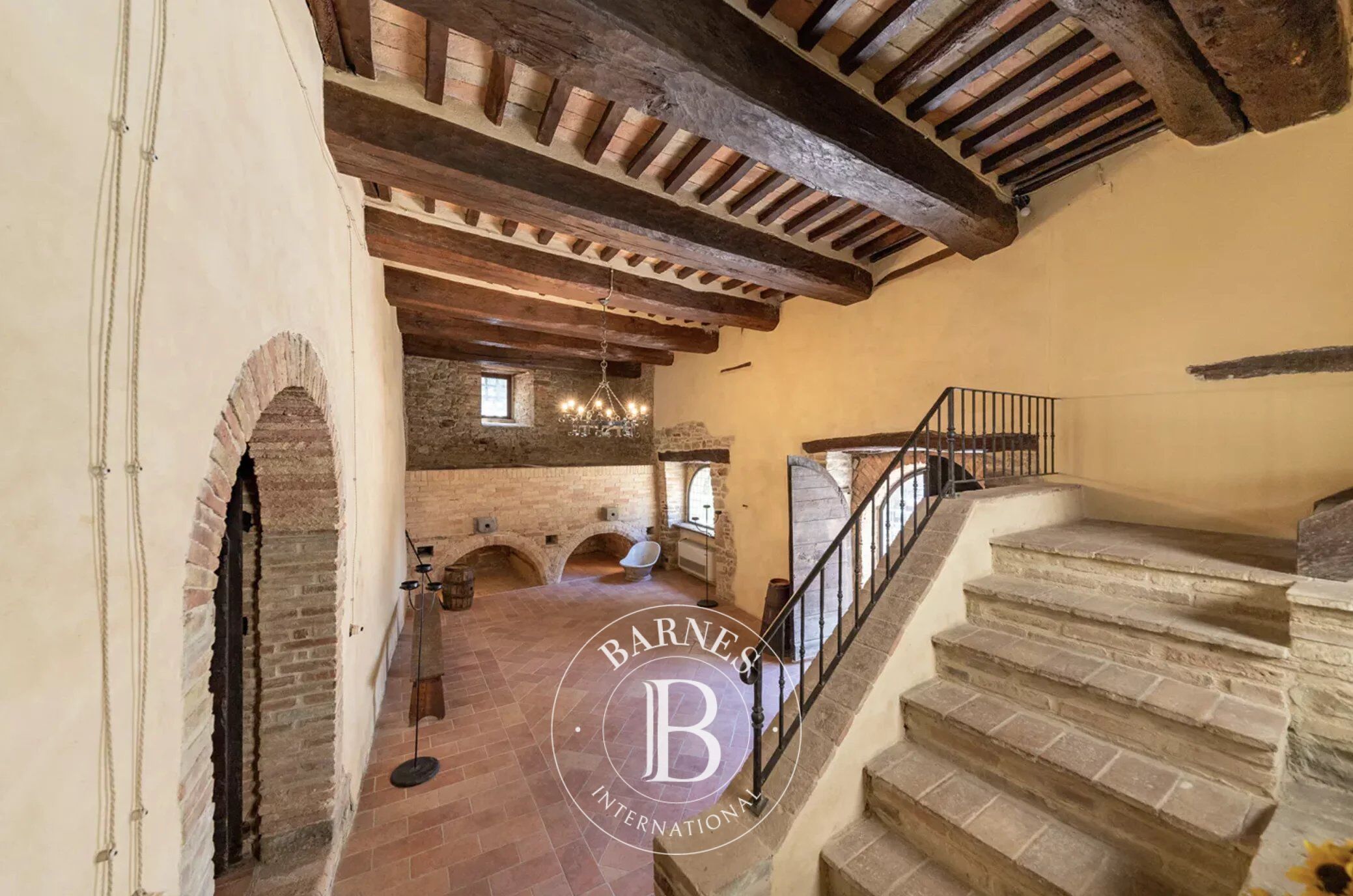 Saray Marsciano - picture 17