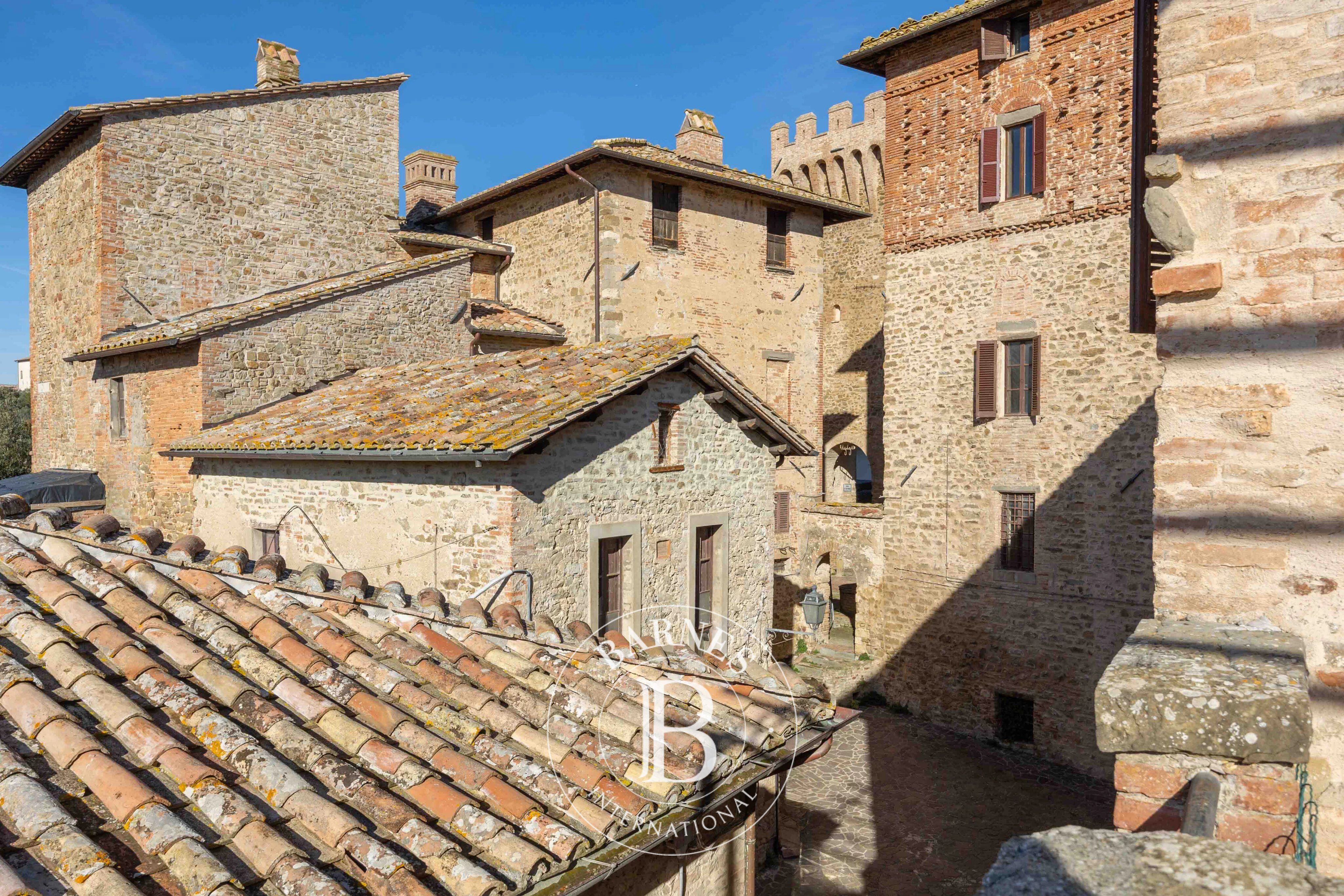 Saray Marsciano - picture 28