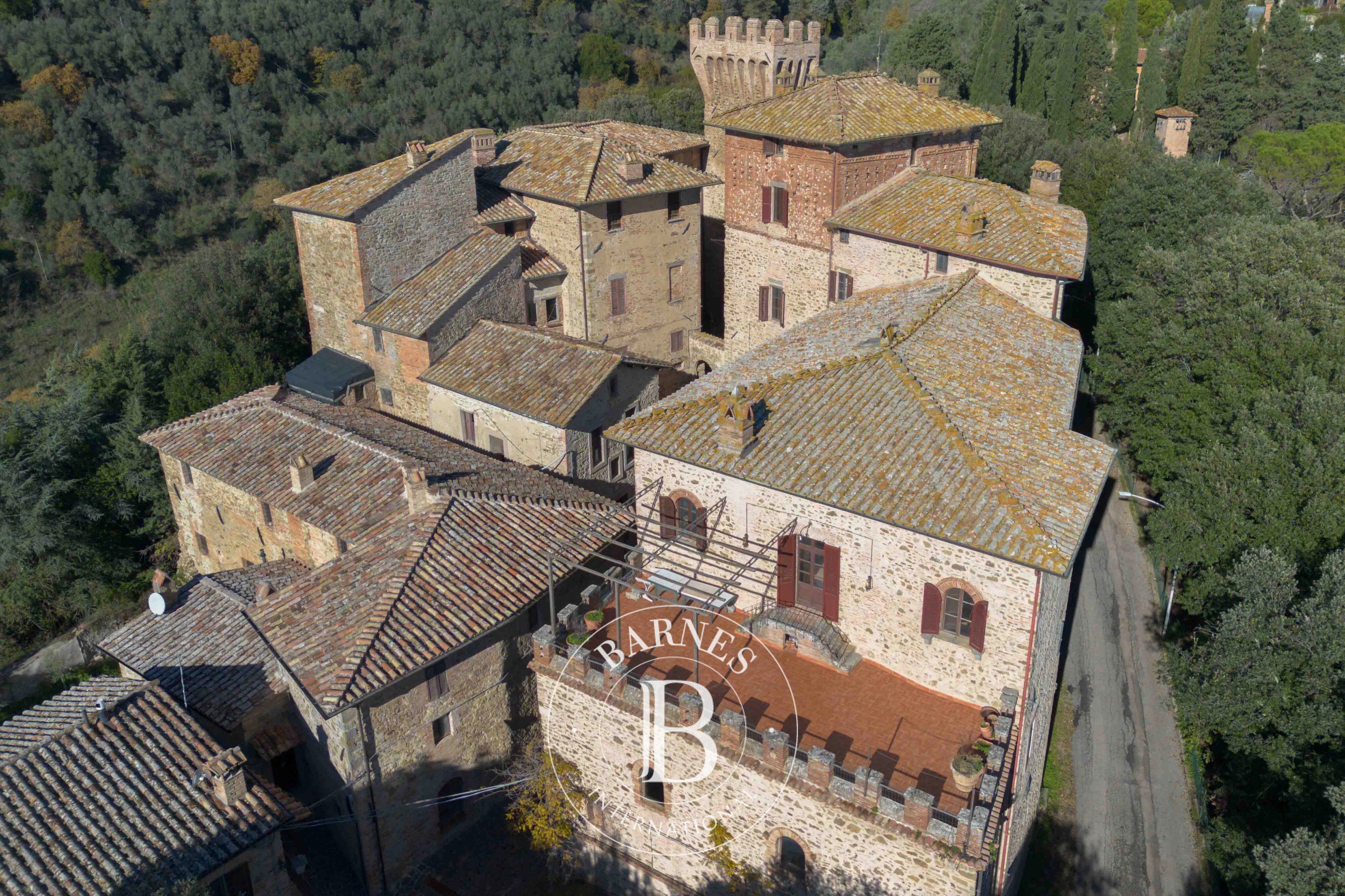 Saray Marsciano - picture 14