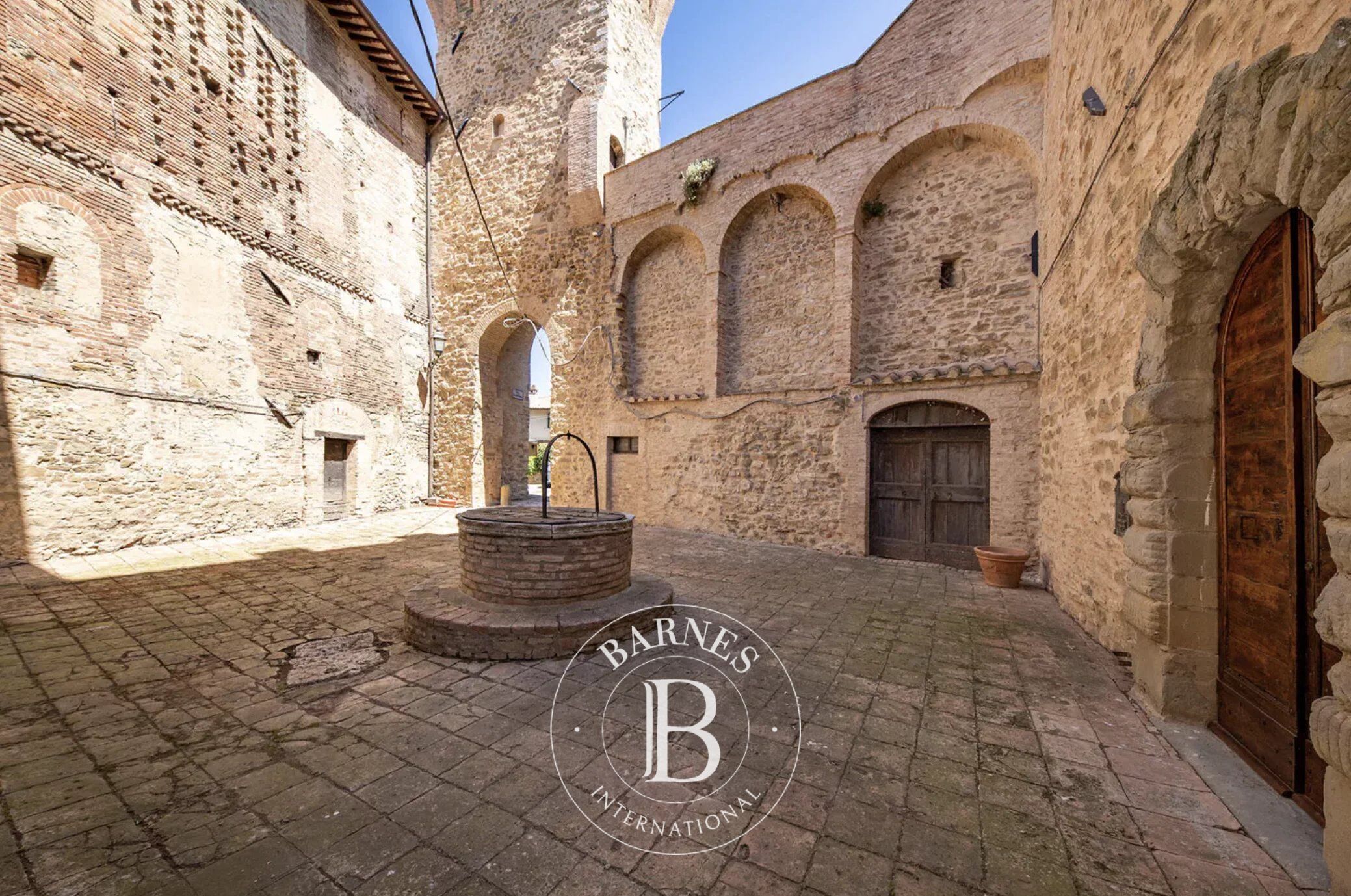 Saray Marsciano - picture 8