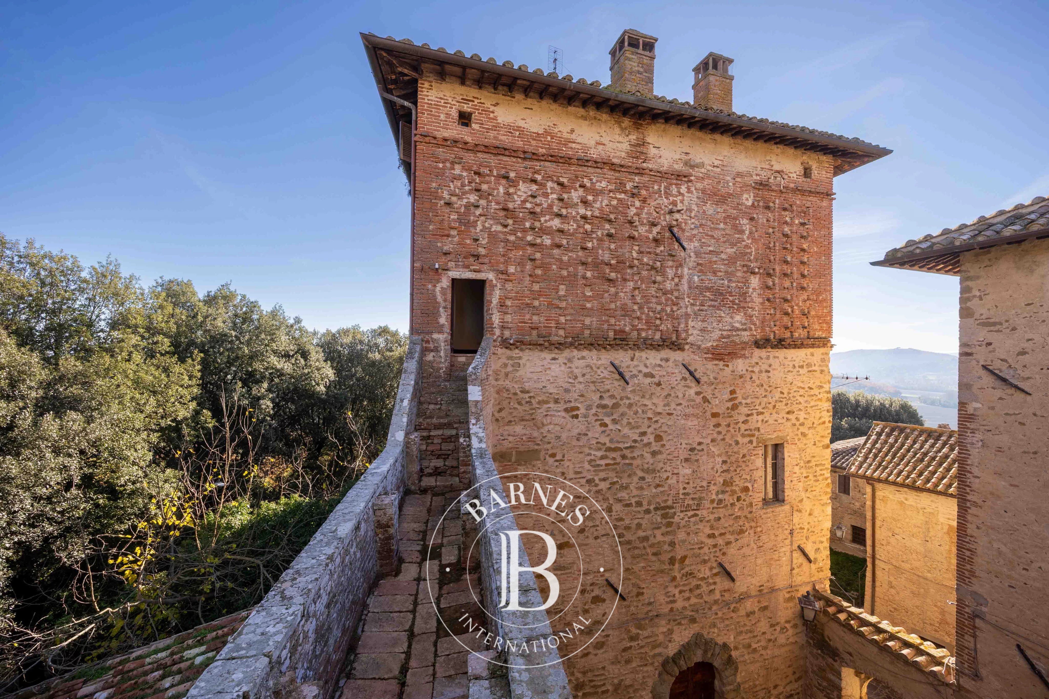 Saray Marsciano - picture 26