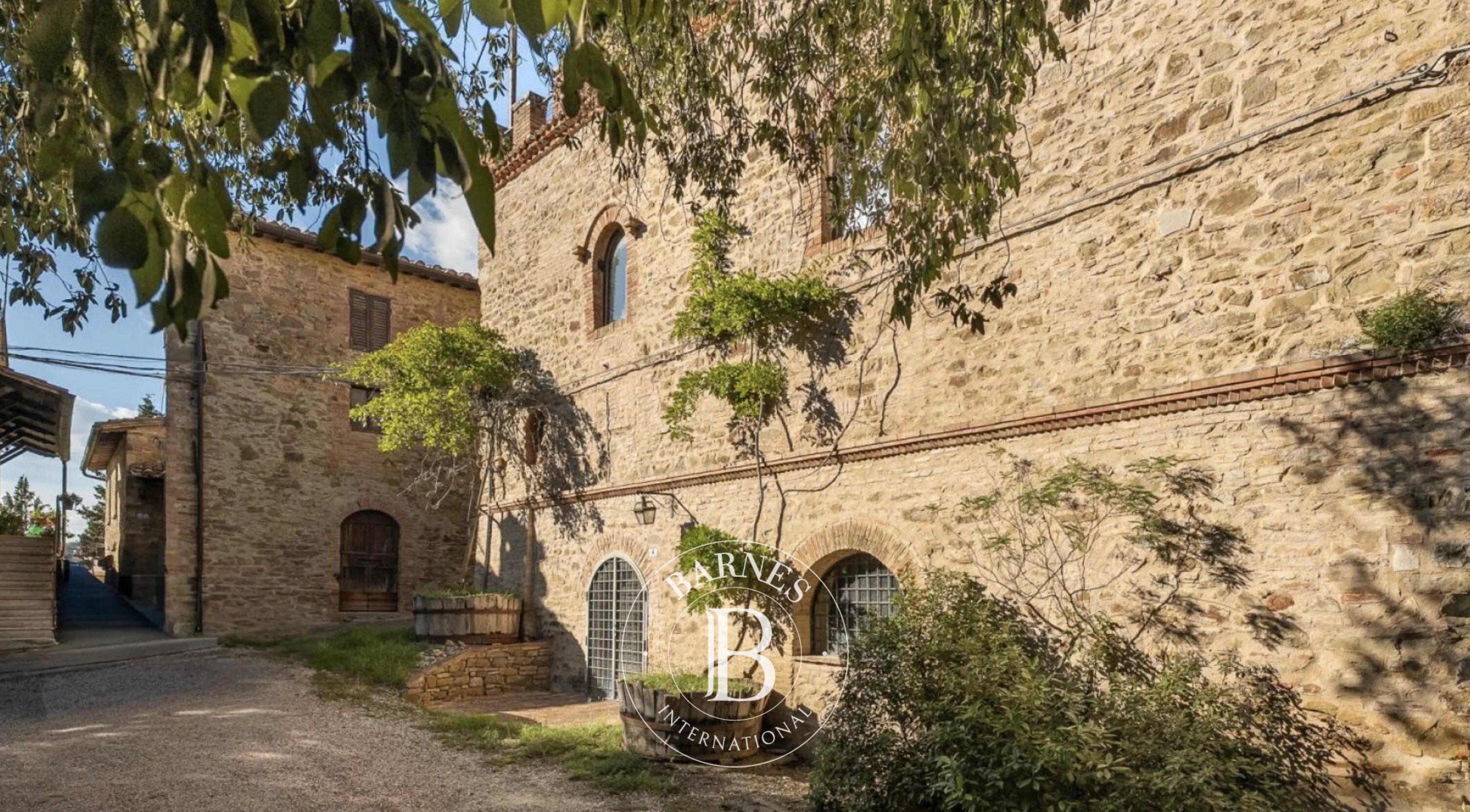 Saray Marsciano - picture 5