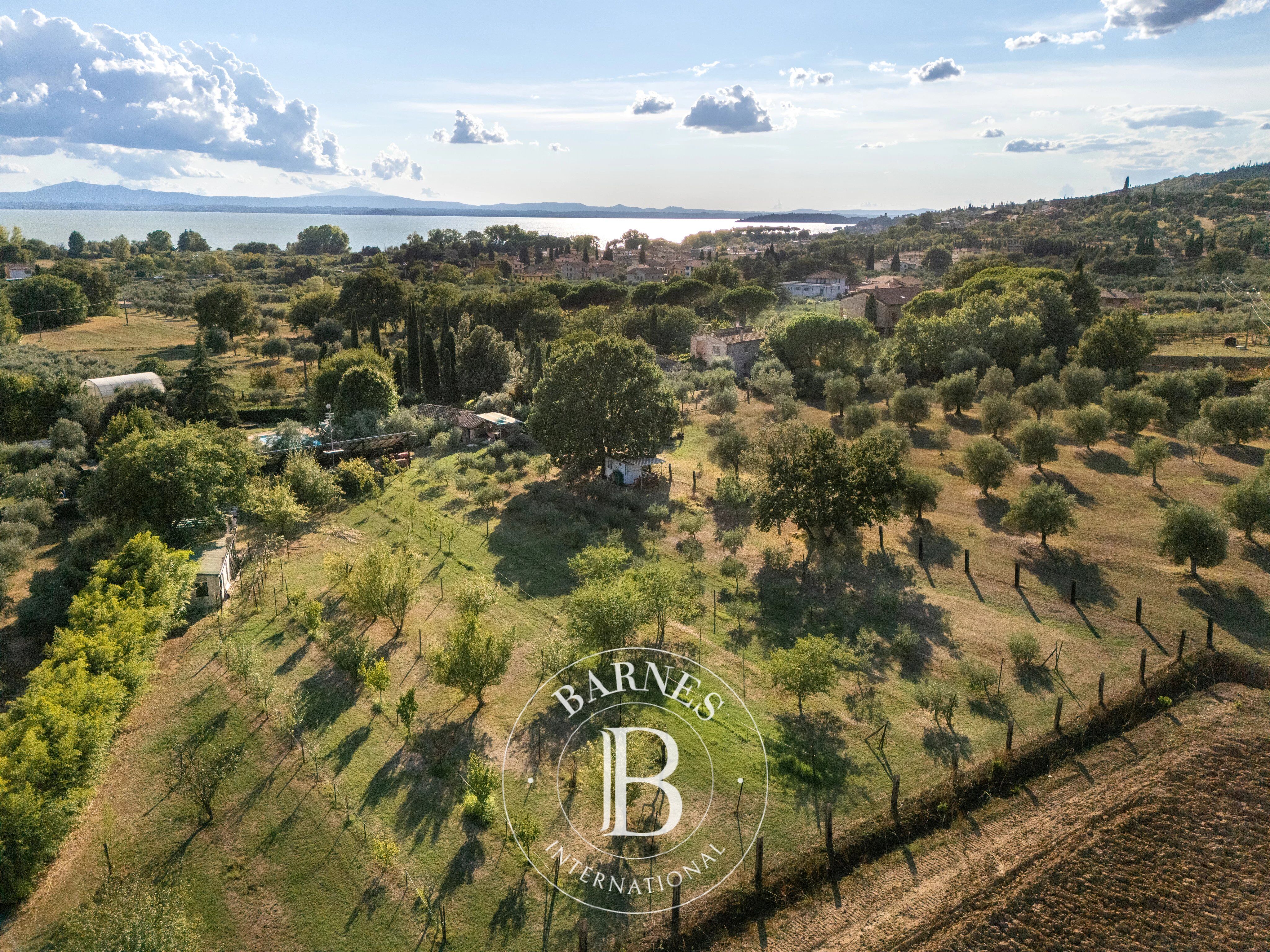 Kulübe Passignano sul Trasimeno - picture 38