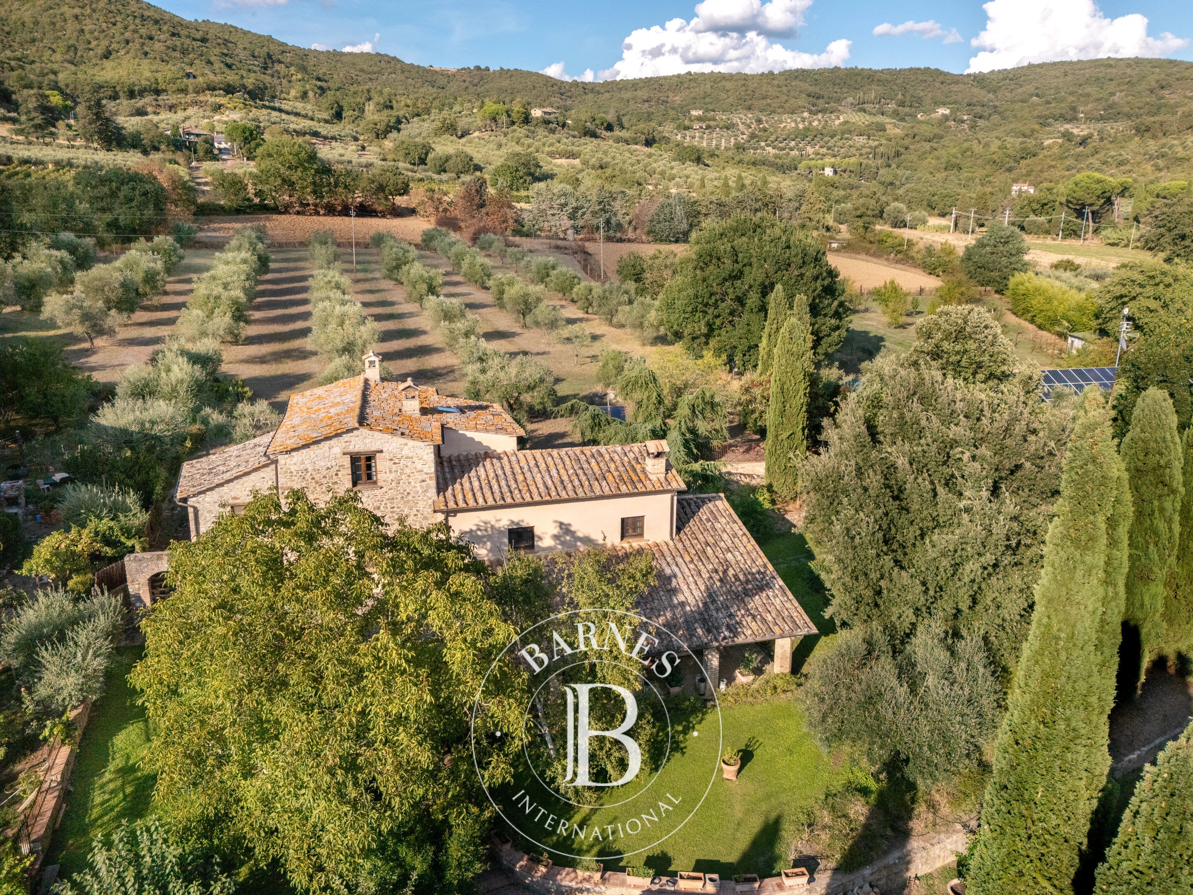 Kulübe Passignano sul Trasimeno - picture 39