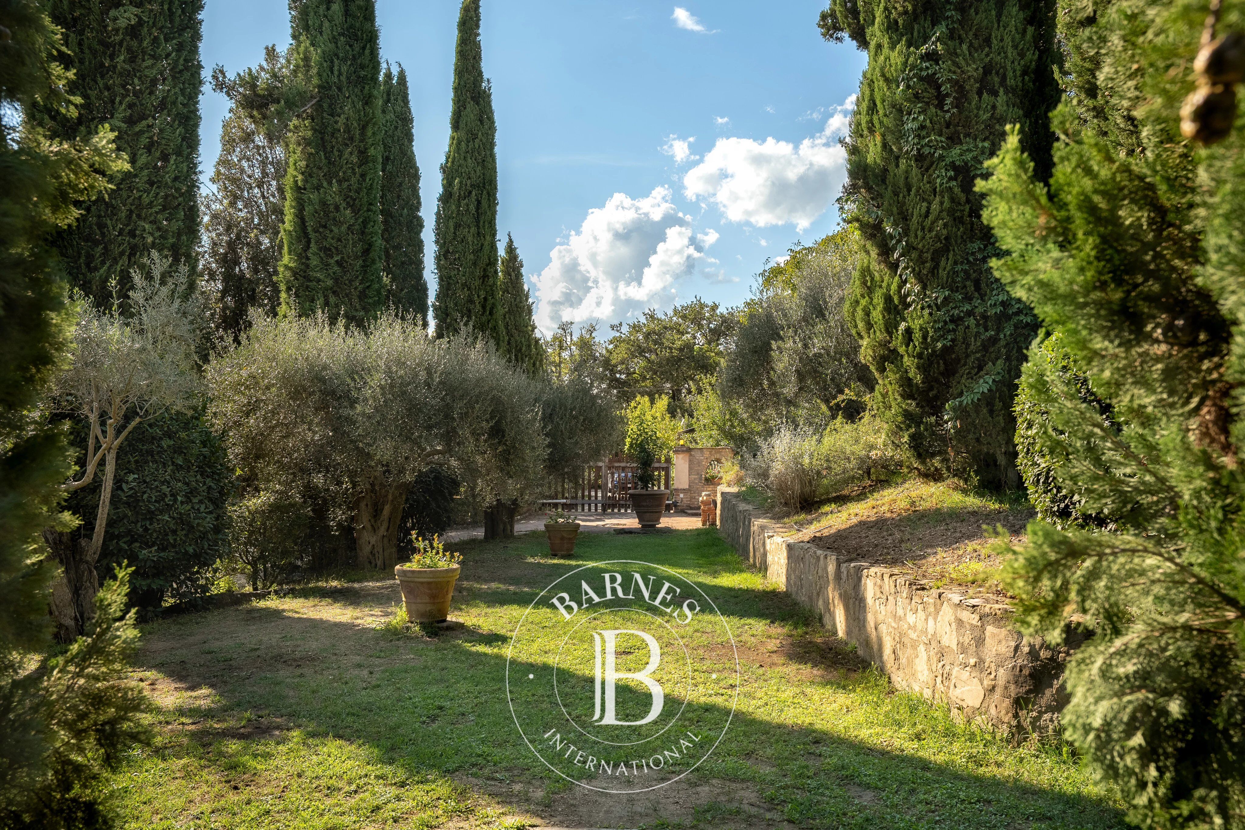 Kulübe Passignano sul Trasimeno - picture 36