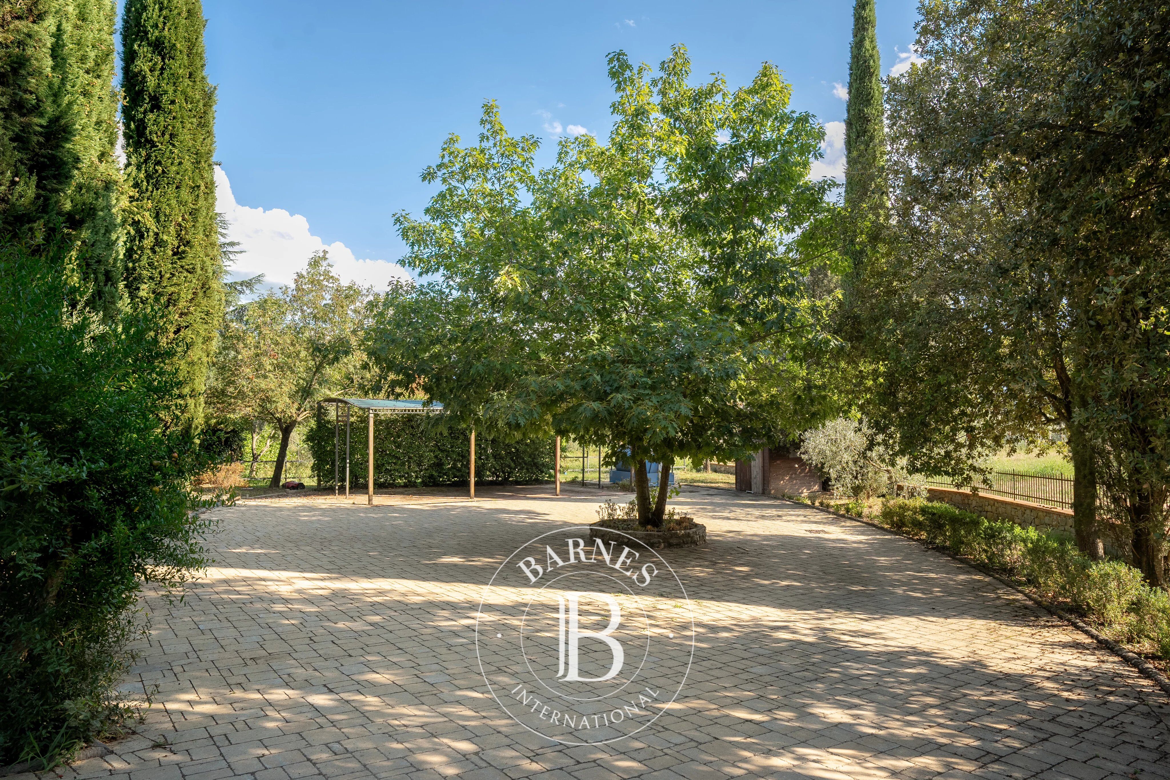 Kulübe Passignano sul Trasimeno - picture 37