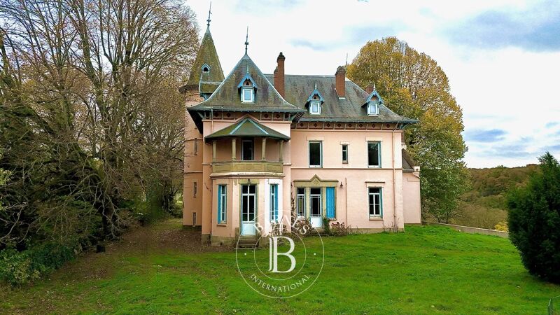 À vendre, Château Eyzin-Pinet - picture 1