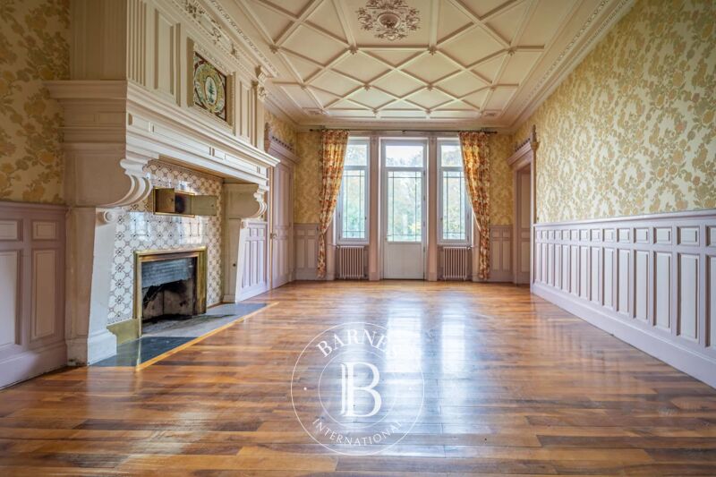 À vendre, Château Eyzin-Pinet - picture 2