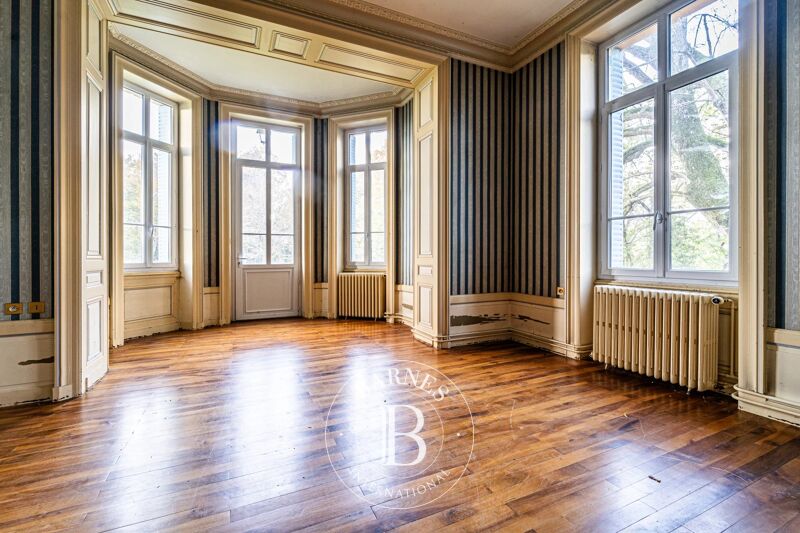 À vendre, Château Eyzin-Pinet - picture 3