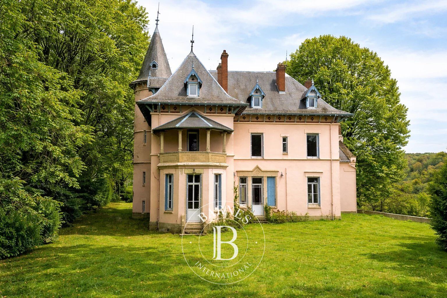 Castello Eyzin-Pinet - picture 1