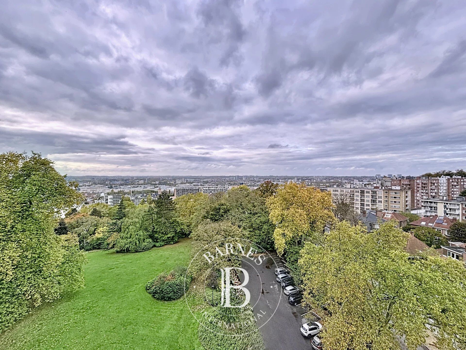 Daire Forest - picture 4