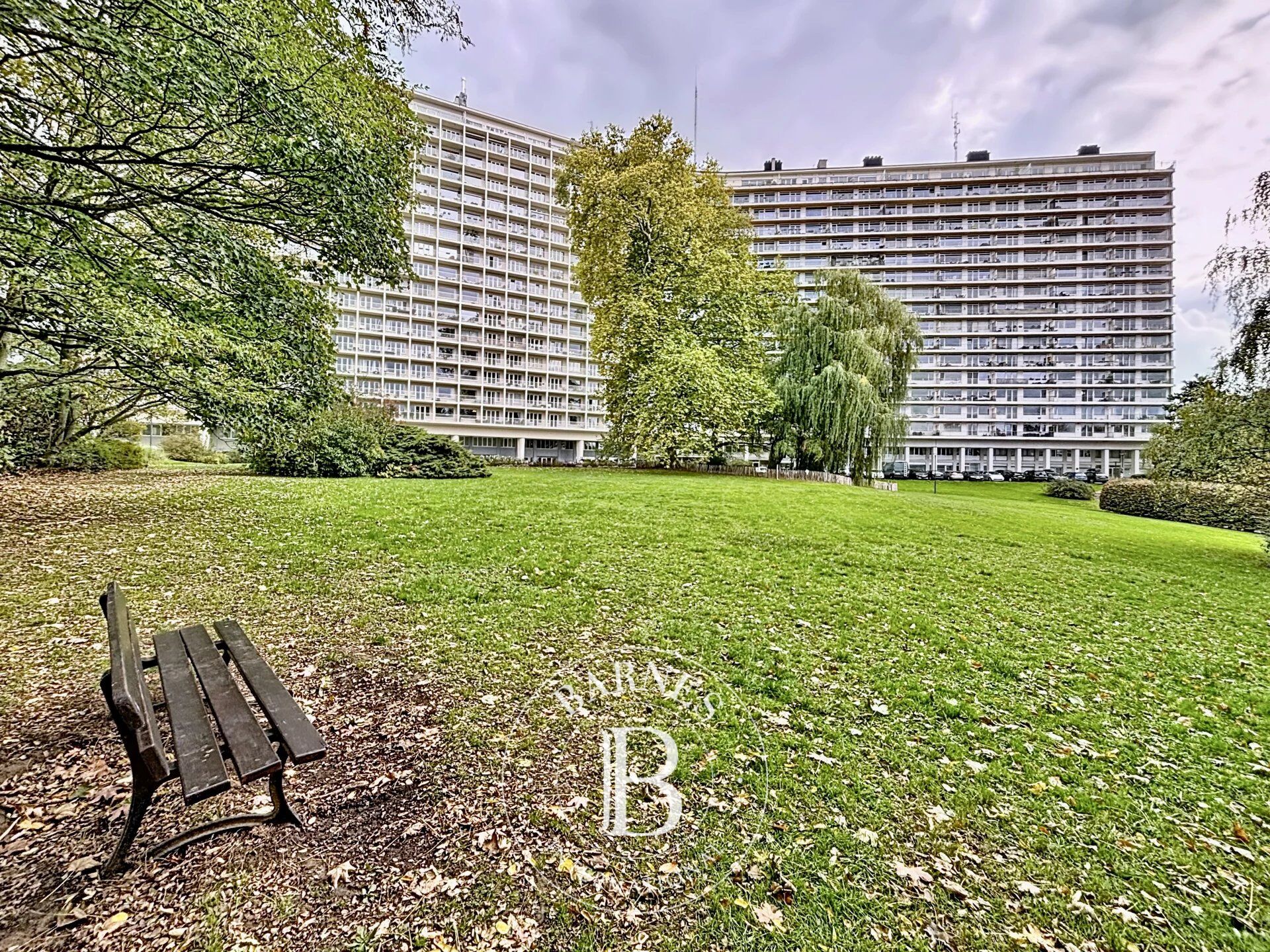 Daire Forest - picture 11