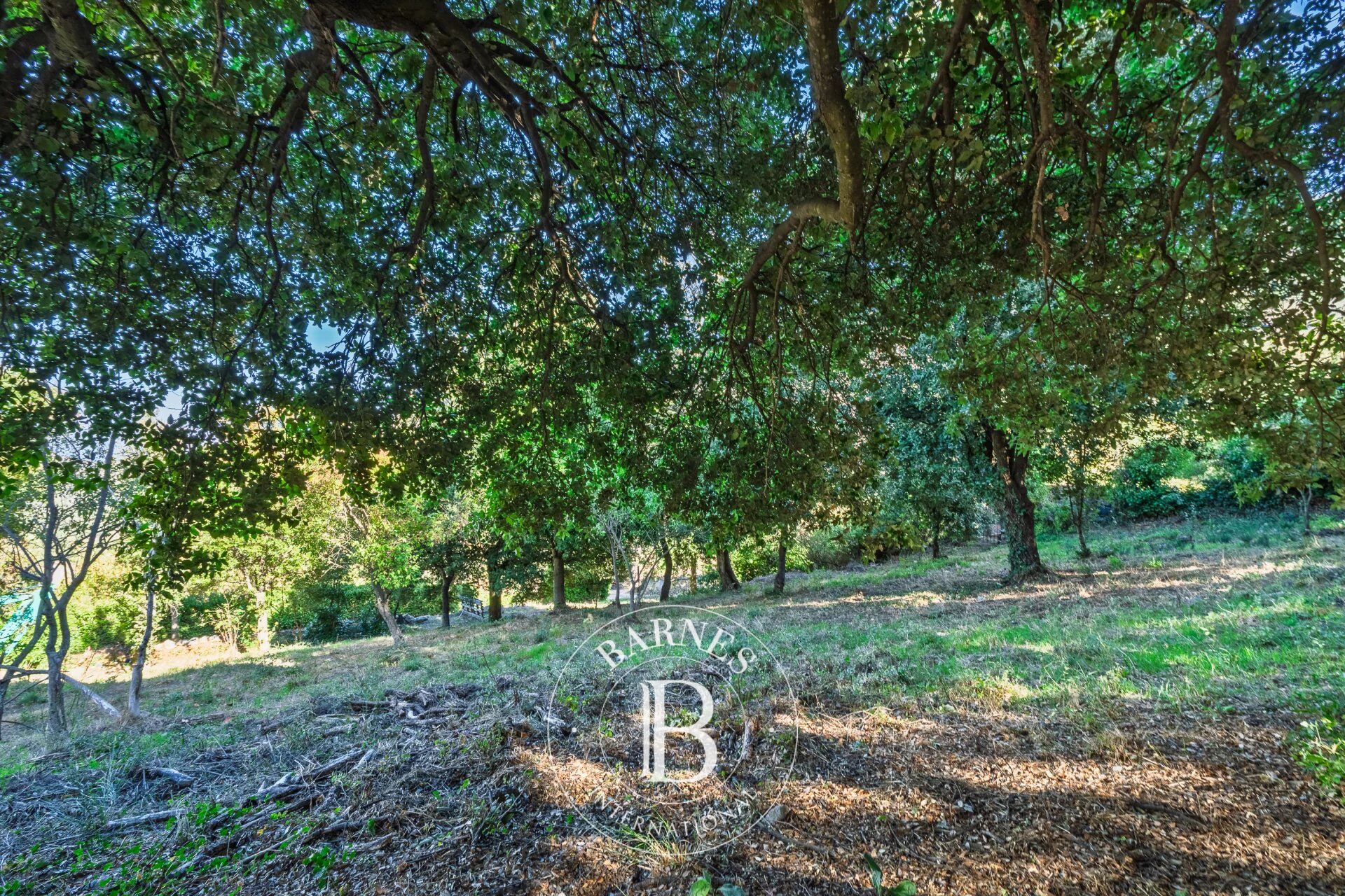 Balagne, Occhiatana, Buildable Plot, Close to L'Île-Rousse and Beaches - picture 2