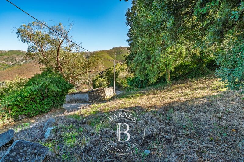 Venta Terreno urbanizable | Occhiatana - picture 3