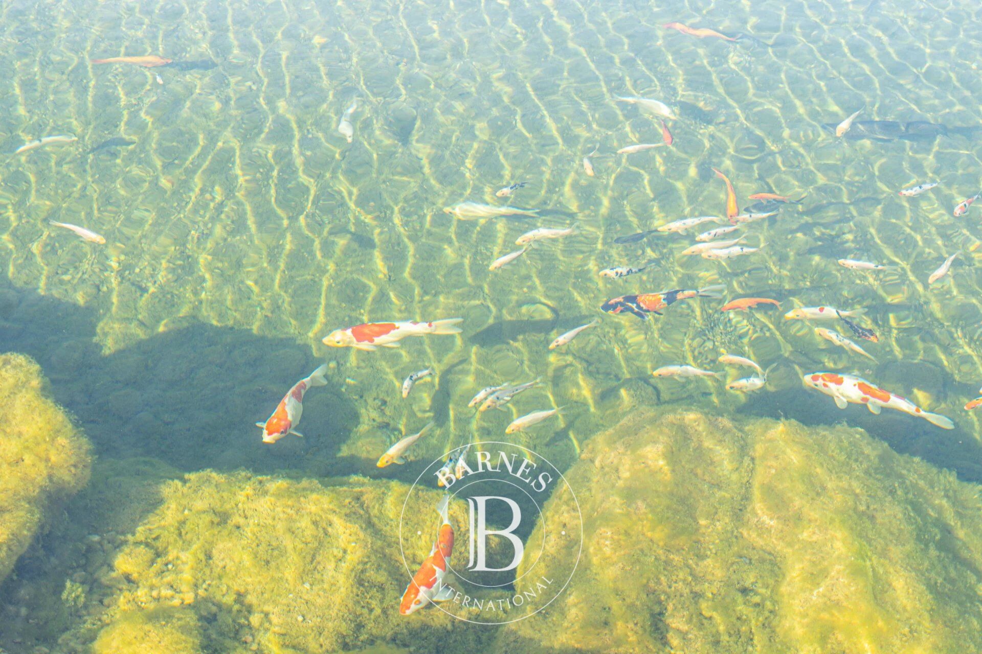 Ev Garmen - picture 7