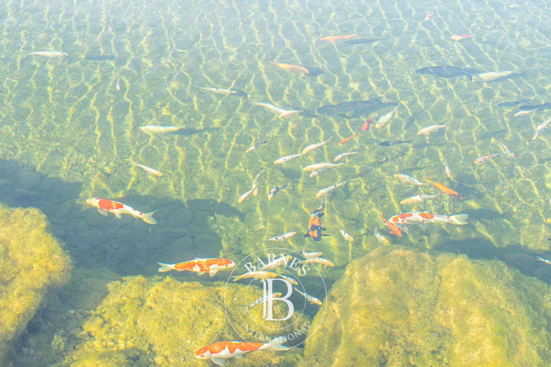 Ev Garmen - picture 22