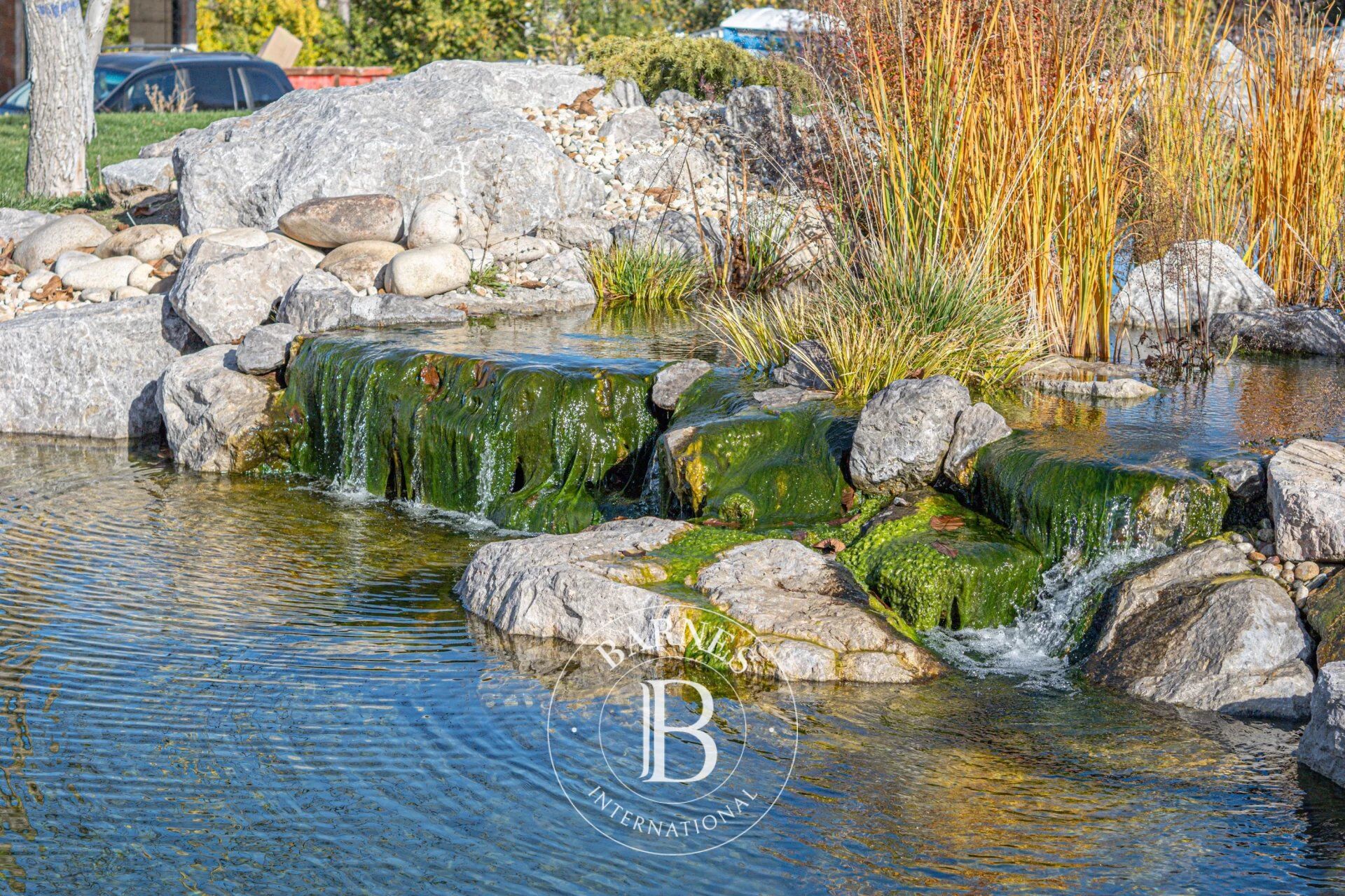 Ev Garmen - picture 8