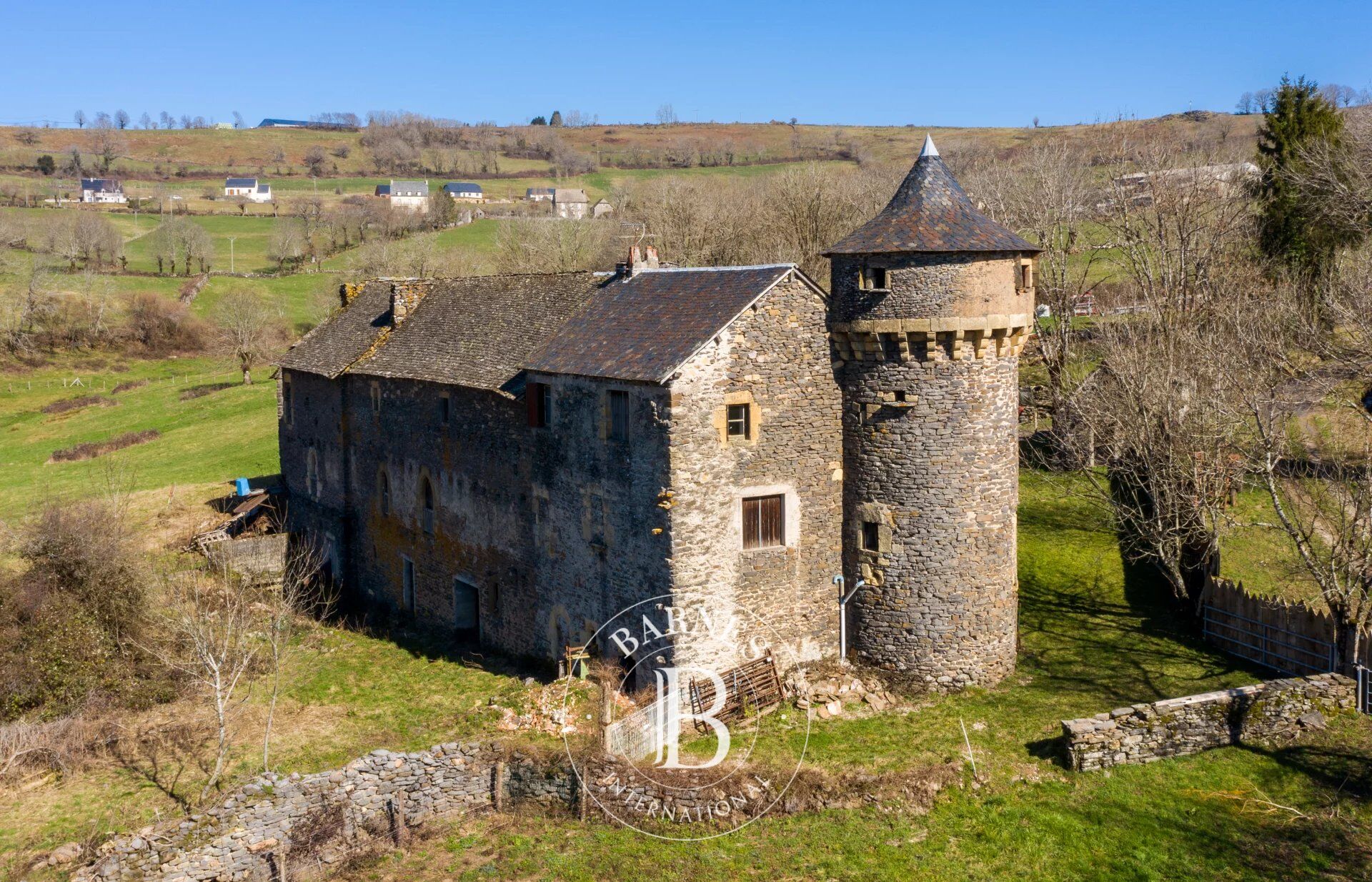 Prestigious Estate in Aubrac, Aveyron - picture 3