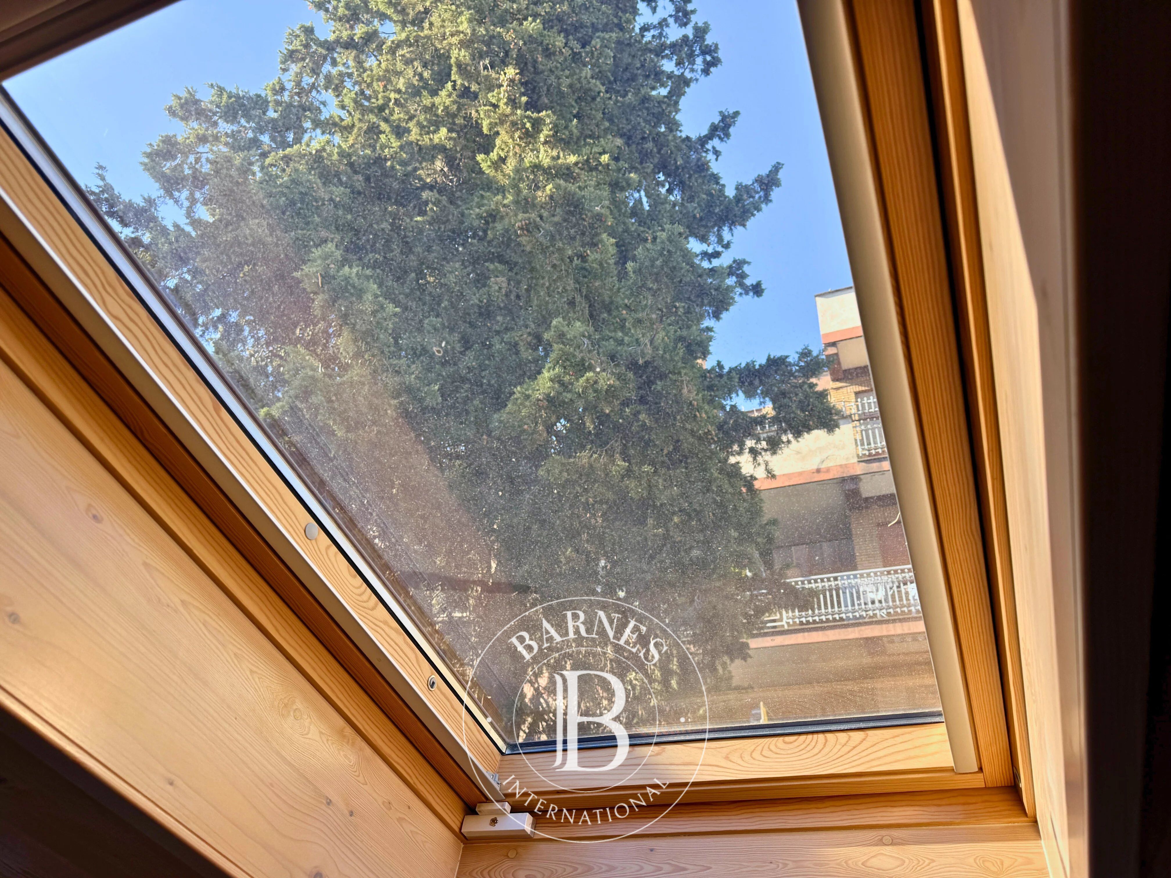 Villa Roma - picture 29