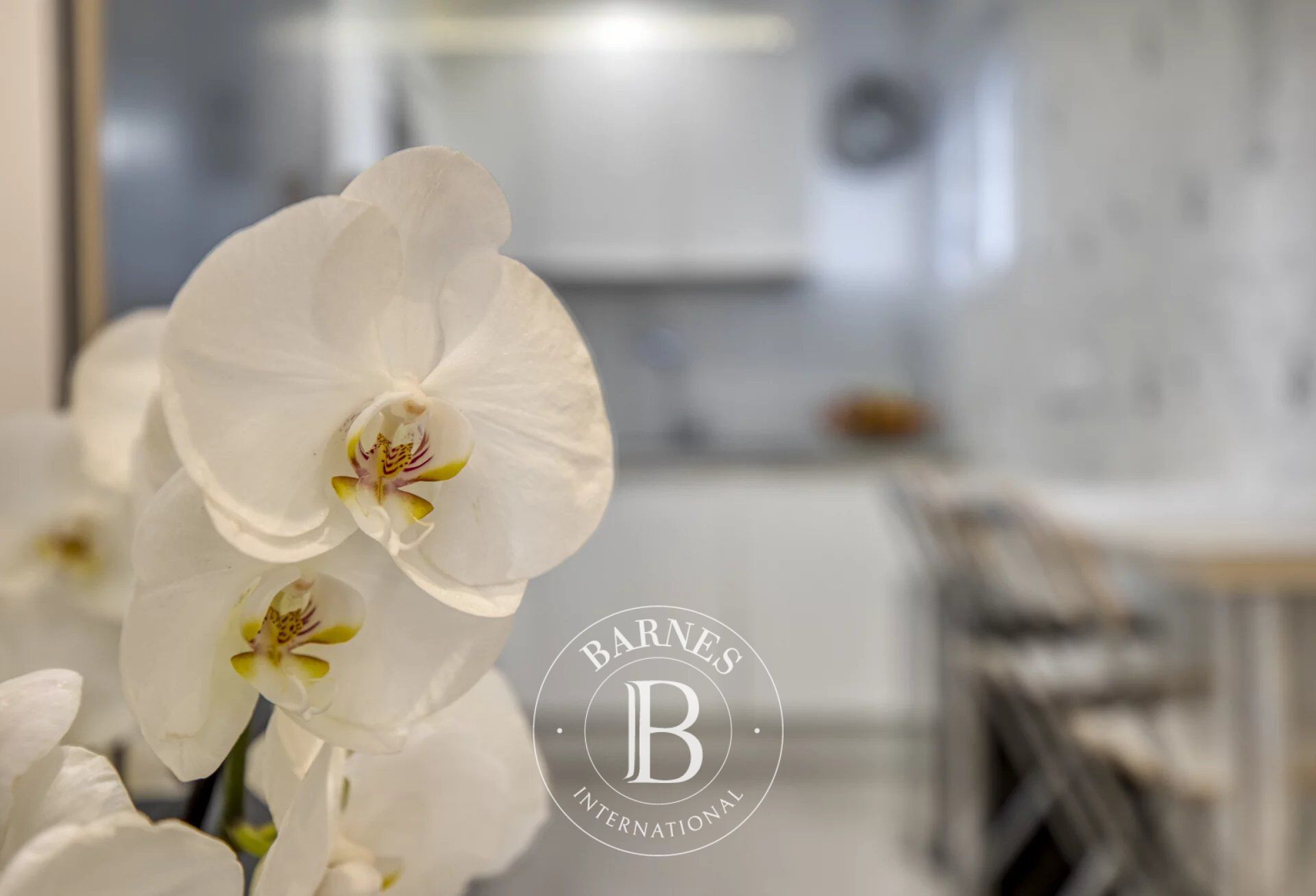 Ev Vétraz-Monthoux - picture 10