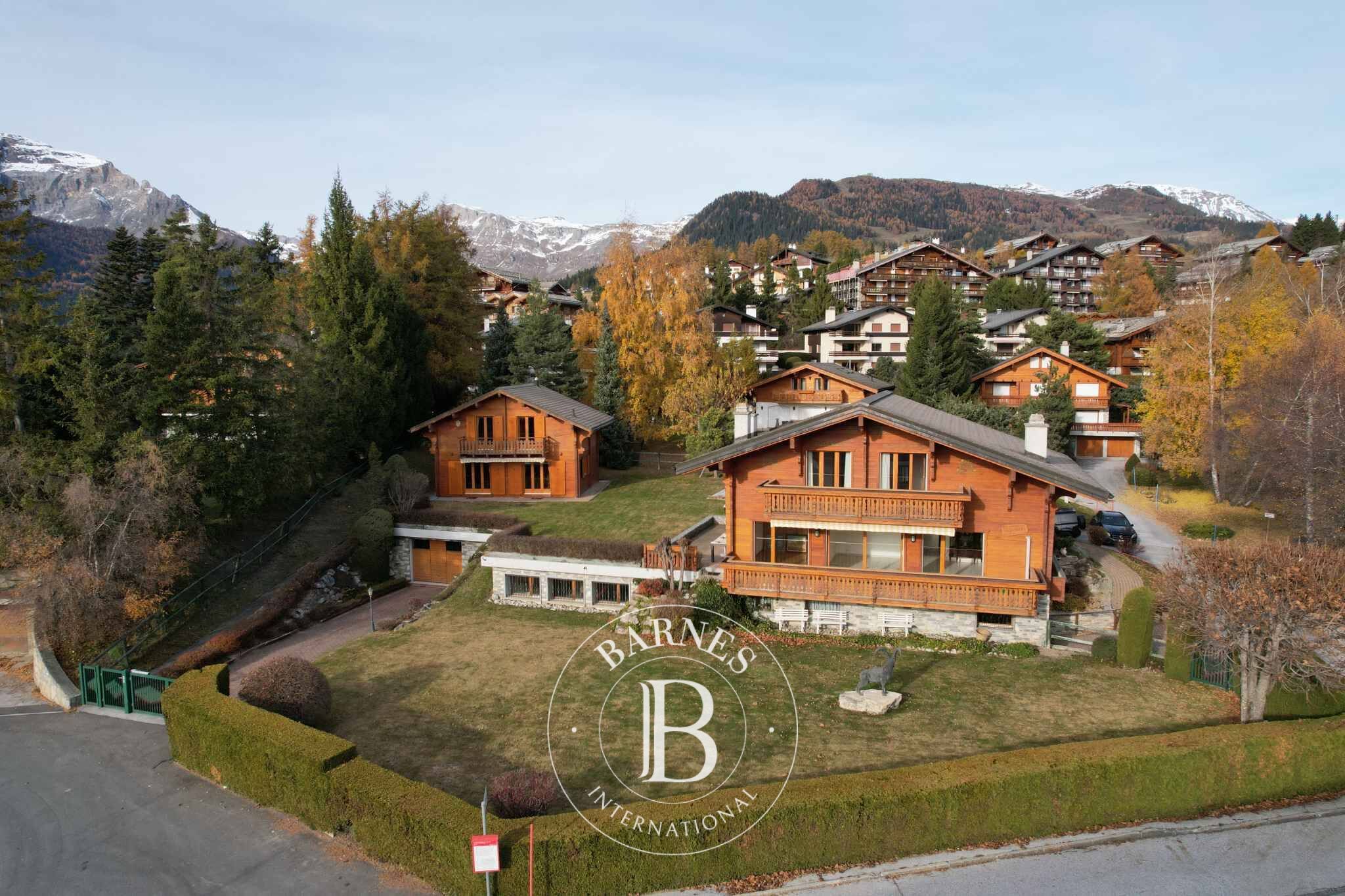 OFF MARKET – ESTATE WITH 2 INDIVIDUAL CHALETS CONNECTED BY BASEMENTS - picture 1