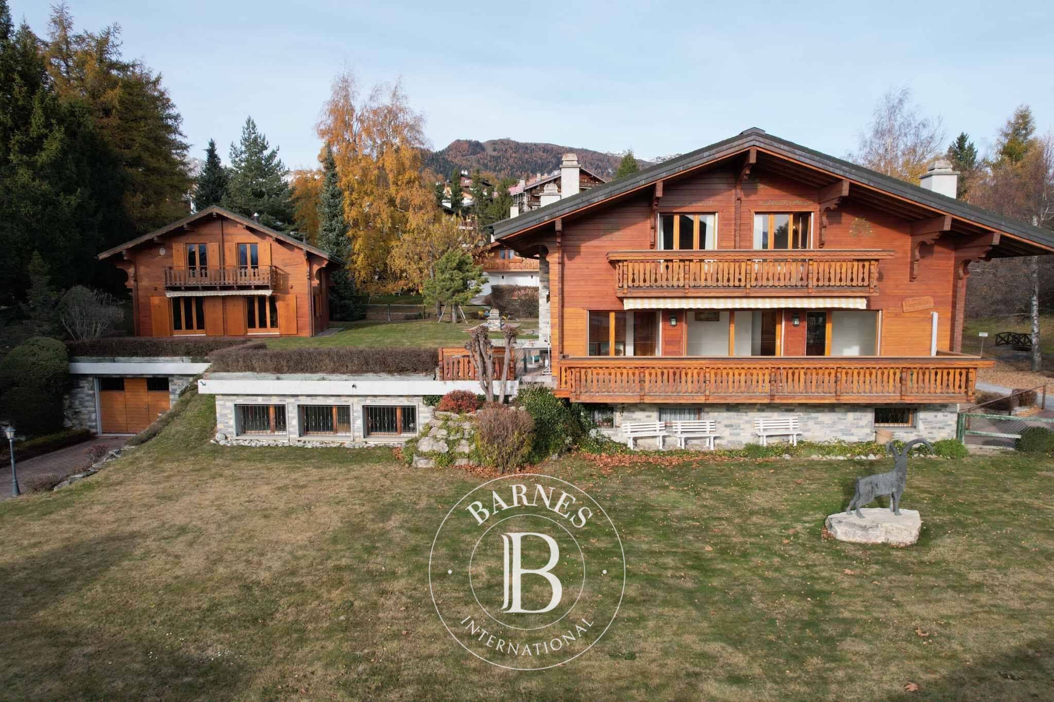 OFF MARKET – ESTATE WITH 2 INDIVIDUAL CHALETS CONNECTED BY BASEMENTS - picture 2