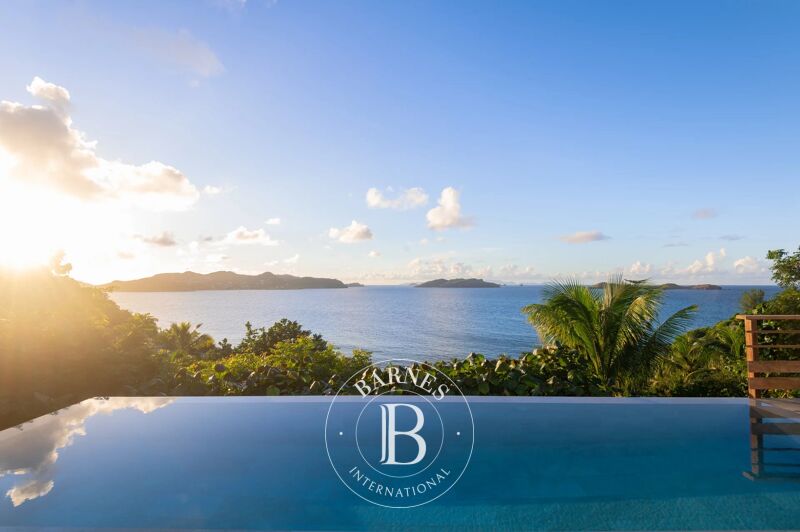 Zu verkaufen, Villa Saint-Barthélemy - picture 1
