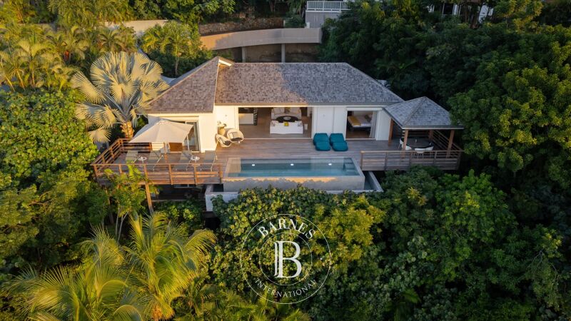 Zu verkaufen, Villa Saint-Barthélemy - picture 2