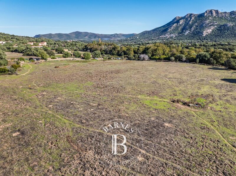 For Sale, Building land Occhiatana - picture 1